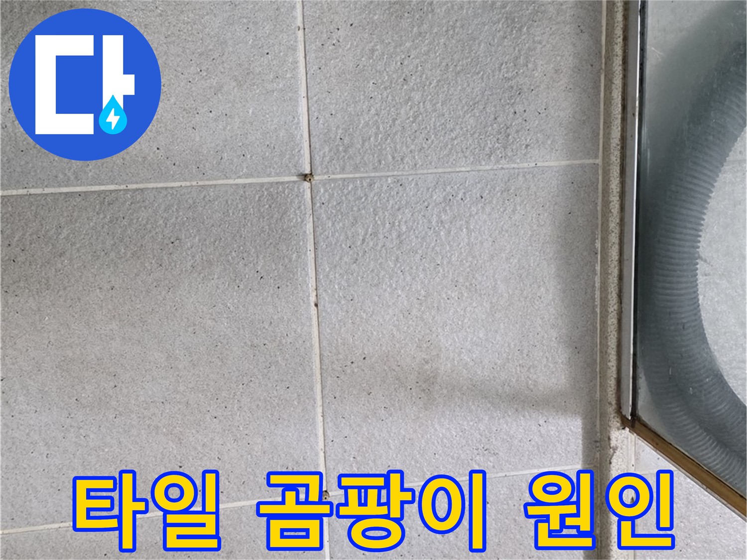 분당구 운중동 욕실 바닥 타일 틈새 곰팡이 - 곰팡이는 습한 환경에서 발생하며, 누수의 가능성을 시사합니다.