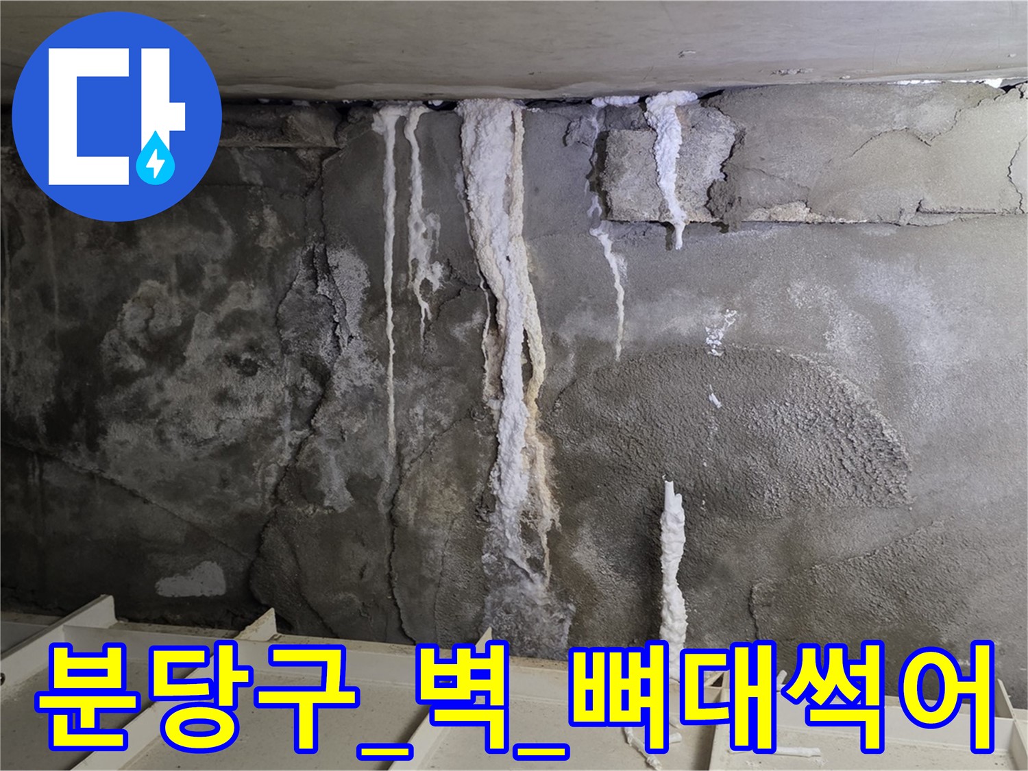 분당구 콘크리트 벽 - 석회수 덩어리, 건물 뼈대 썩어가는 소리