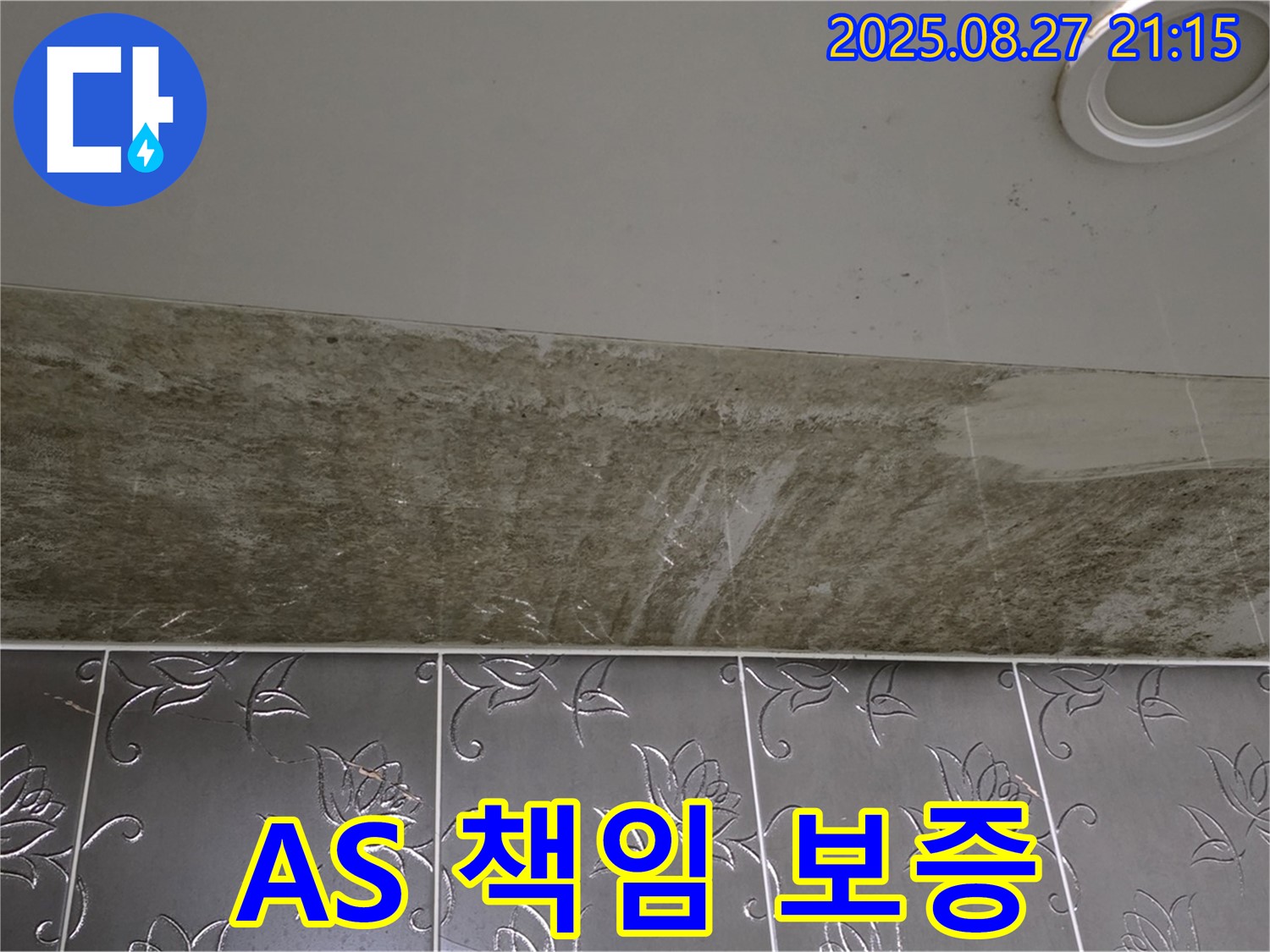 성남 누수 전문가 - 분당구 운중동 산운마을 아파트, 곰팡이 핀 천장 누수, A/S를 확실하게 책임 보증합니다.