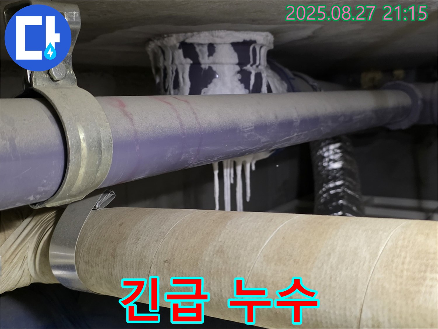 성남 분당 산운마을 6단지 아파트 - 긴급 누수 발생 현장