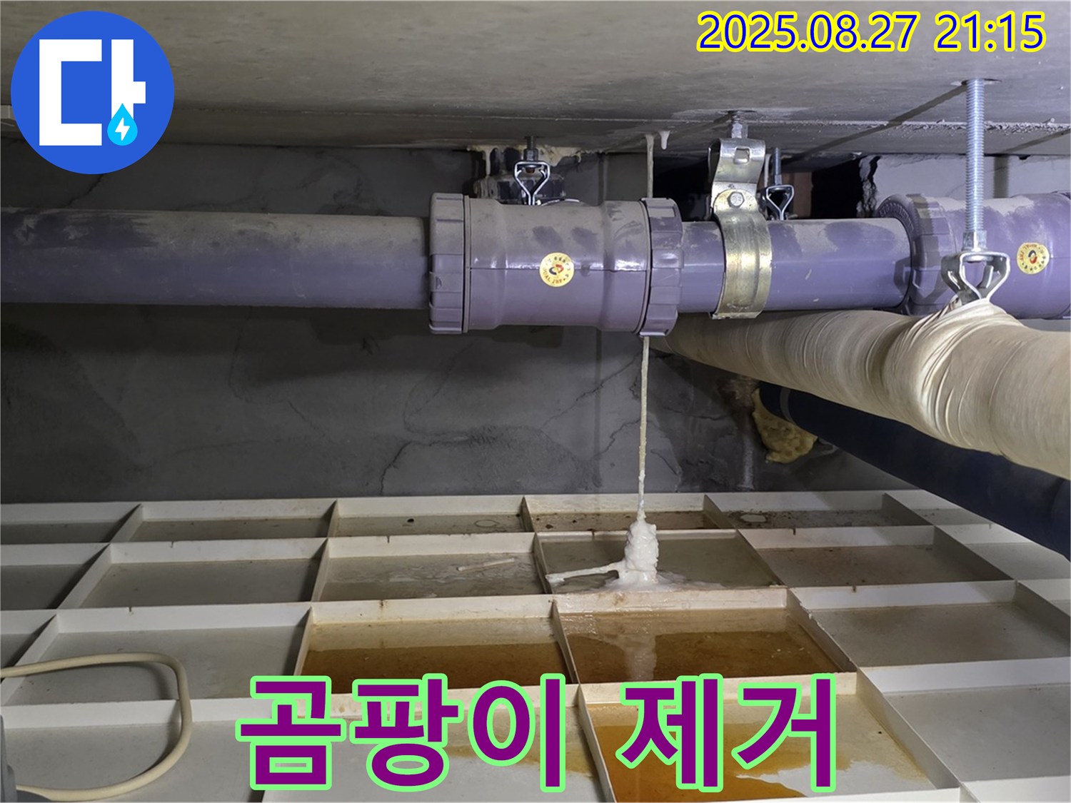 성남 분당 운중동 산운마을 6단지 - 누수 부위 주변 곰팡이 제거 및 소독 작업