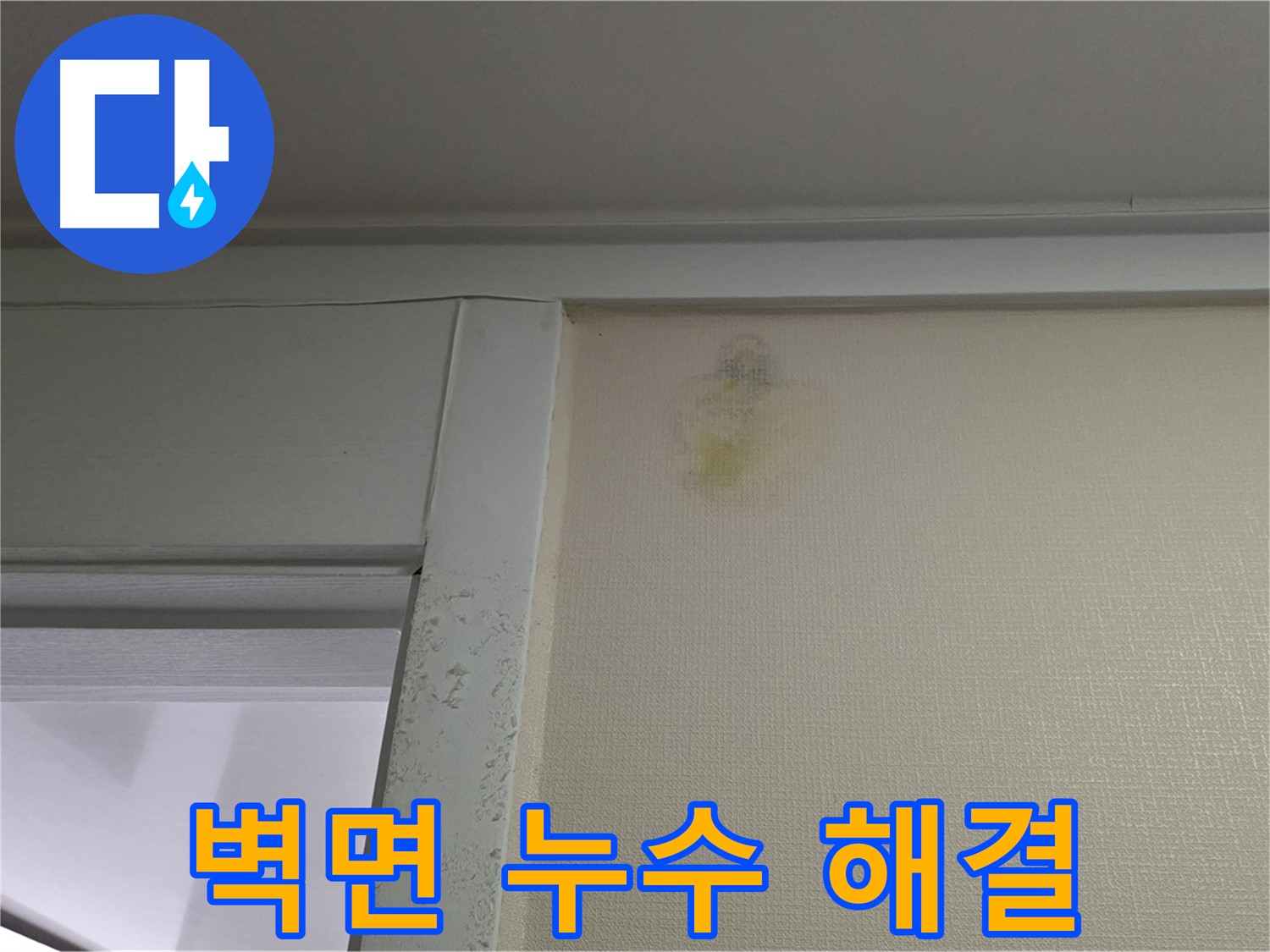 성남 분당 운중동 산운마을 6단지 아파트 벽면 누수 - 확실한 누수 해결 및 고객 만족