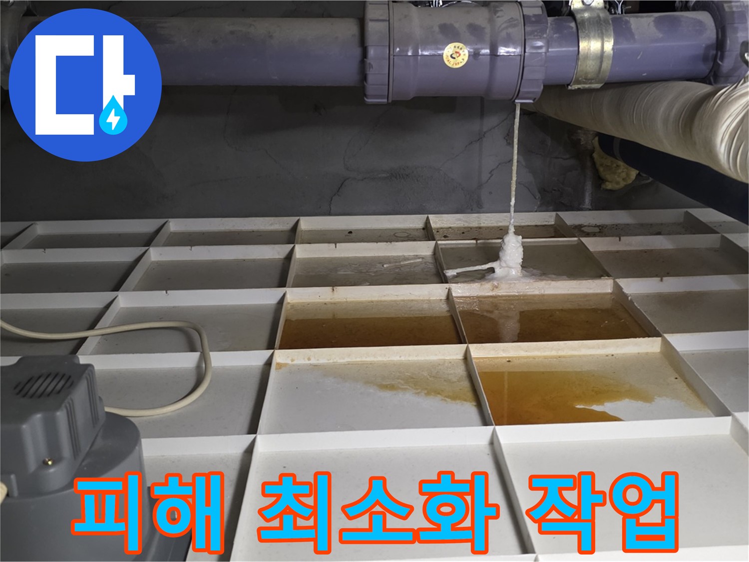 성남 분당 운중동 산운마을 6단지에서 누수 피해를 최소화하는 작업을 진행하는 모습 - 신속한 조치가 중요합니다.