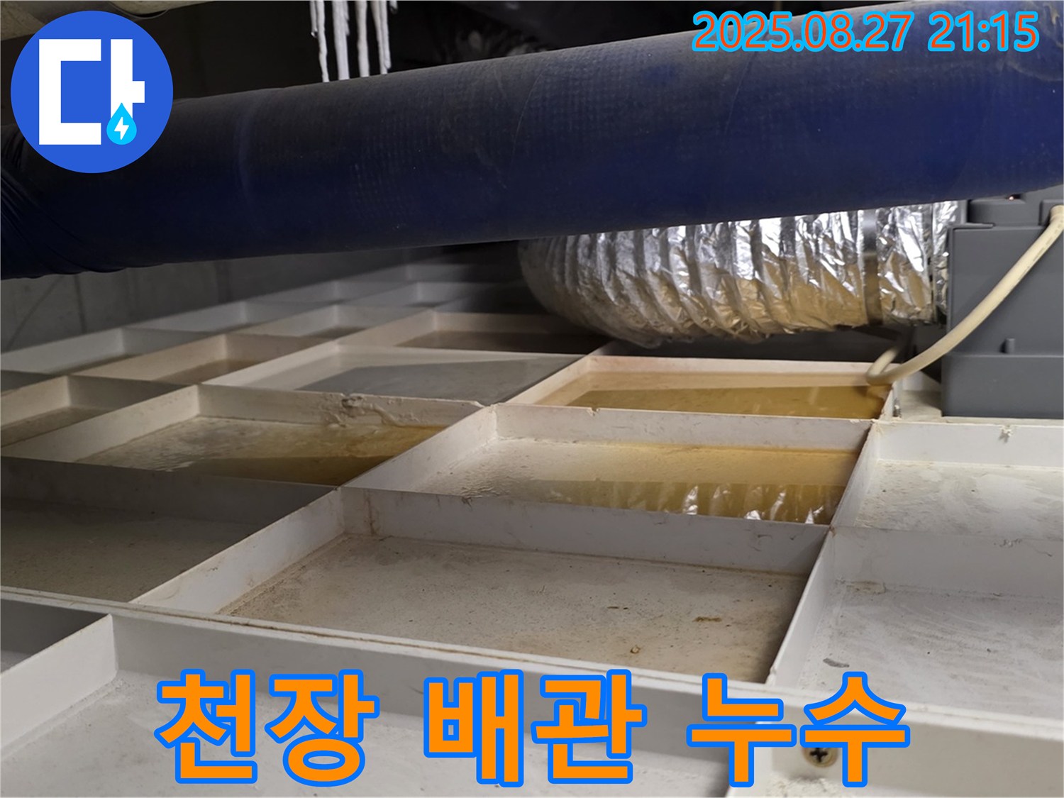 성남 분당 운중동 산운마을 누수 현장 - 천장 배관에서 누수가 발생한 긴급 상황을 보여줍니다.