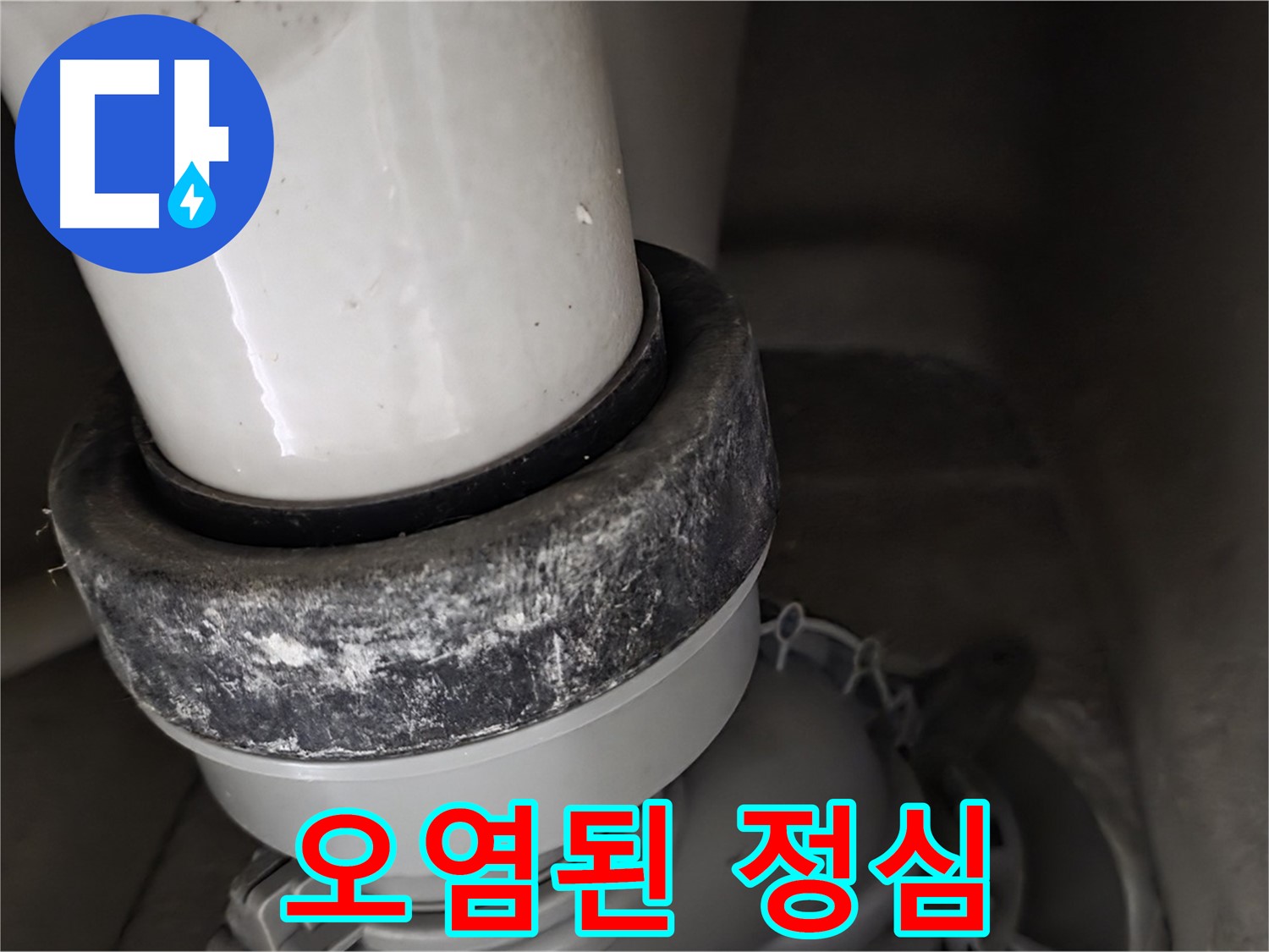 성남 분당 운중동 산운마을 변기 누수 - 오염된 정심 상태를 자세히 보여드립니다