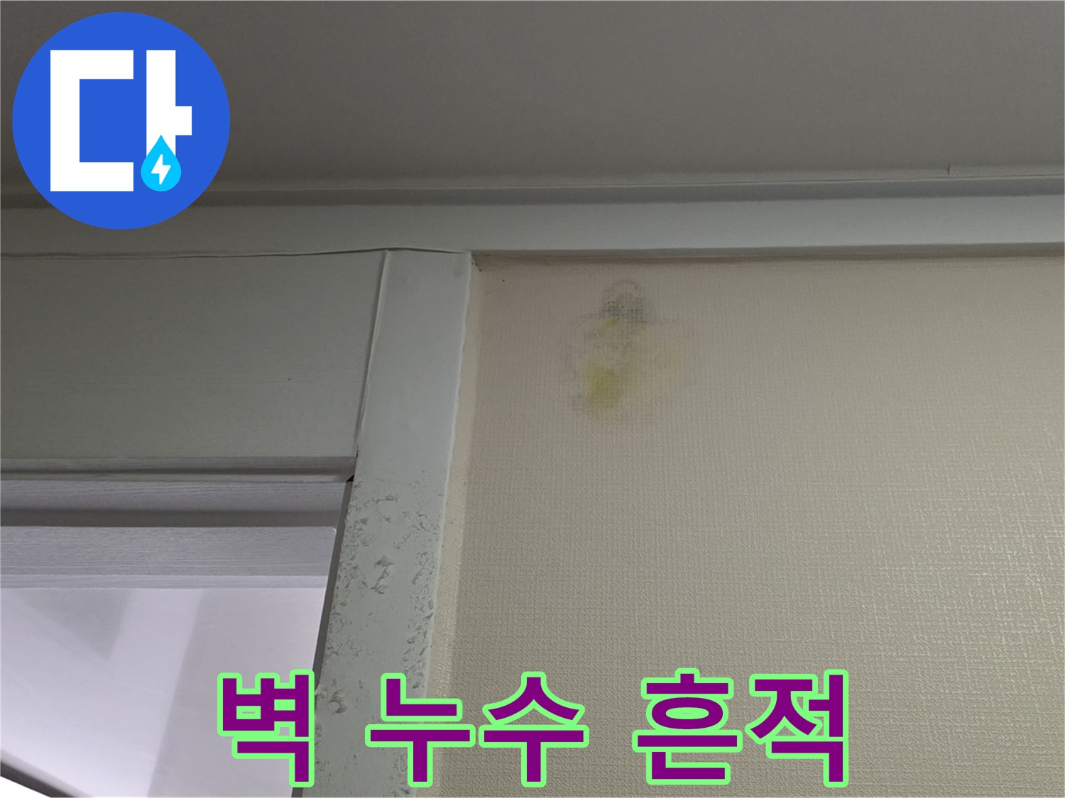 성남 분당 운중동 산운마을 아파트 벽 누수 흔적 - 신속한 점검 및 원인 파악