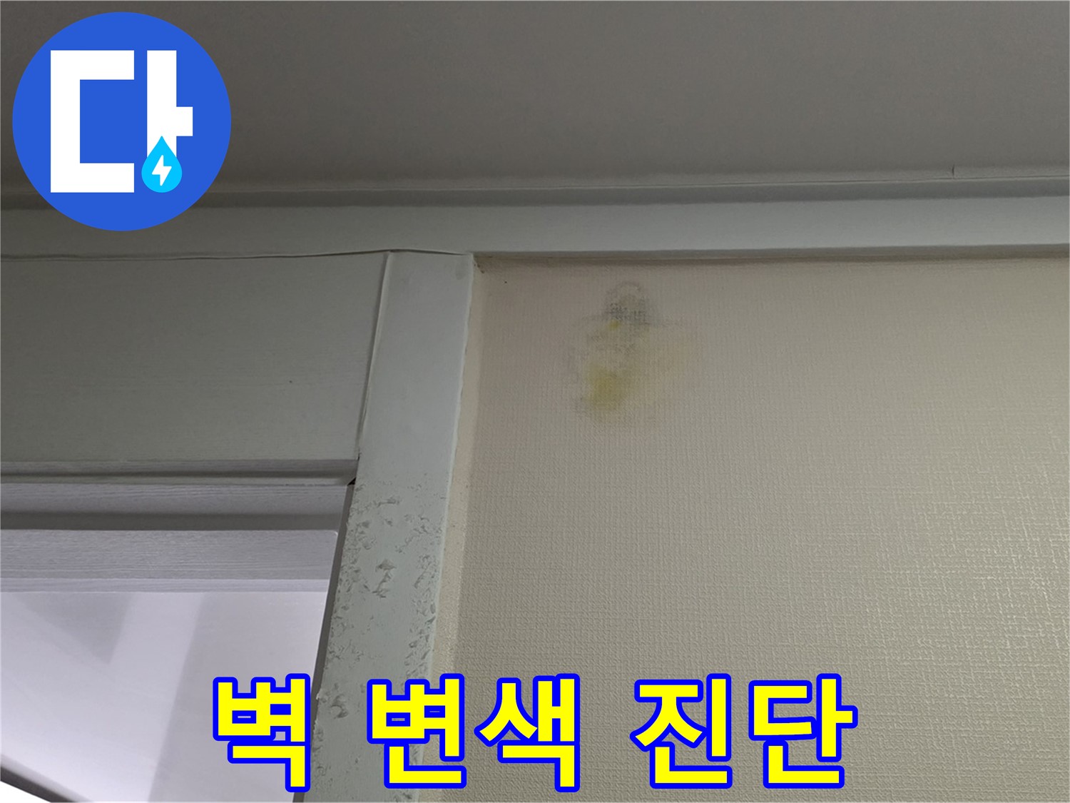 성남 분당 운중동 산운마을 아파트 - 벽 변색 누수 초기 의심