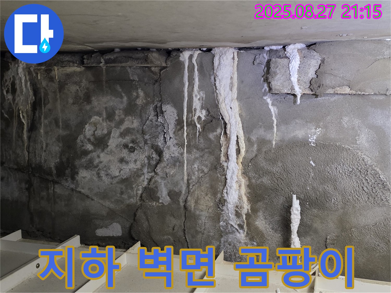 성남 분당 운중동 산운마을6단지 지하 벽면 곰팡이 - 누수와 곰팡이는 함께 발생할 수 있습니다