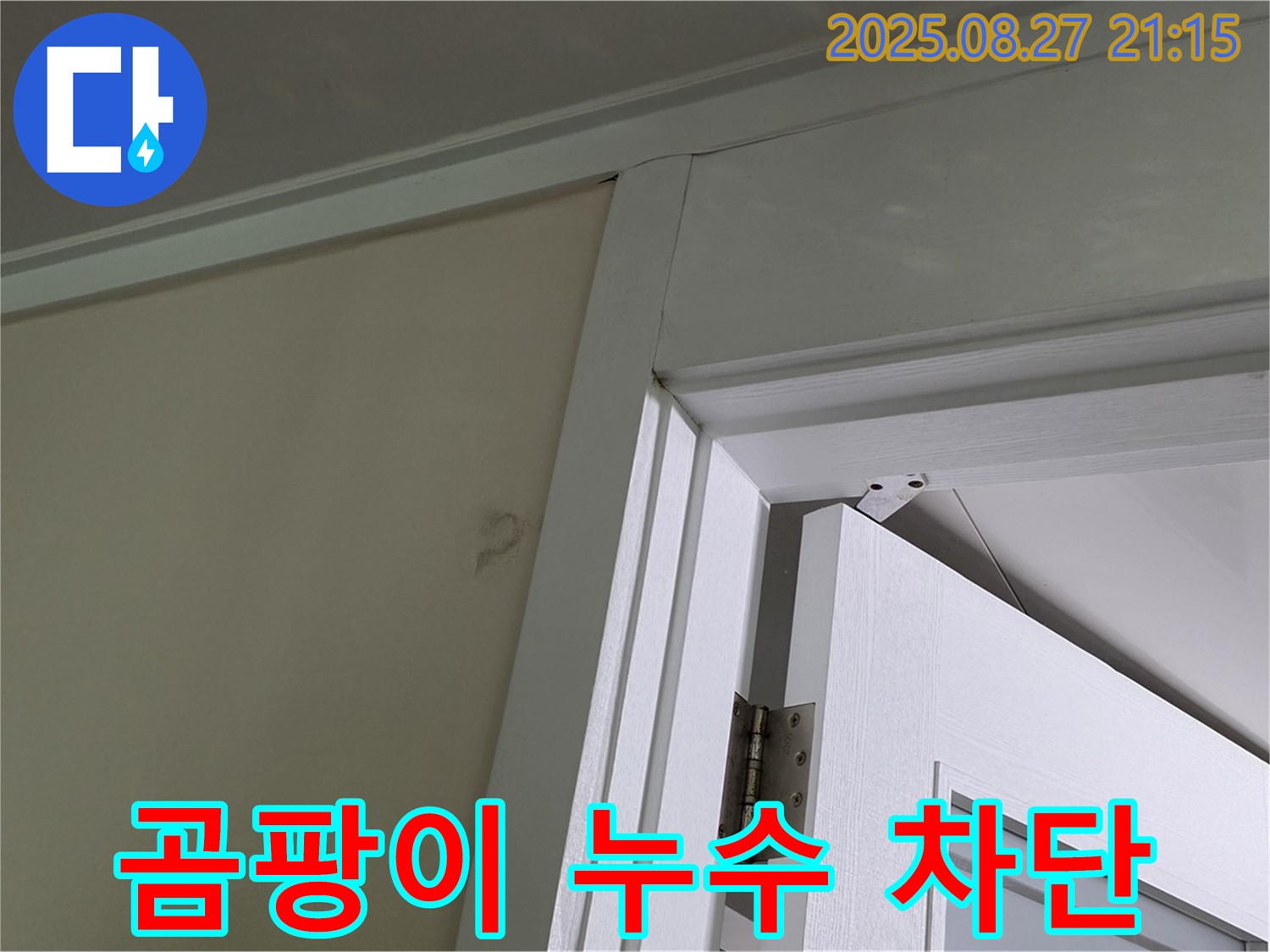 성남 분당 운중동 아파트 문 위 벽 곰팡이 누수 차단 성공 - 누수 원인을 정확히 진단하고 맞춤 시공으로 누수를 완벽하게 차단했습니다.