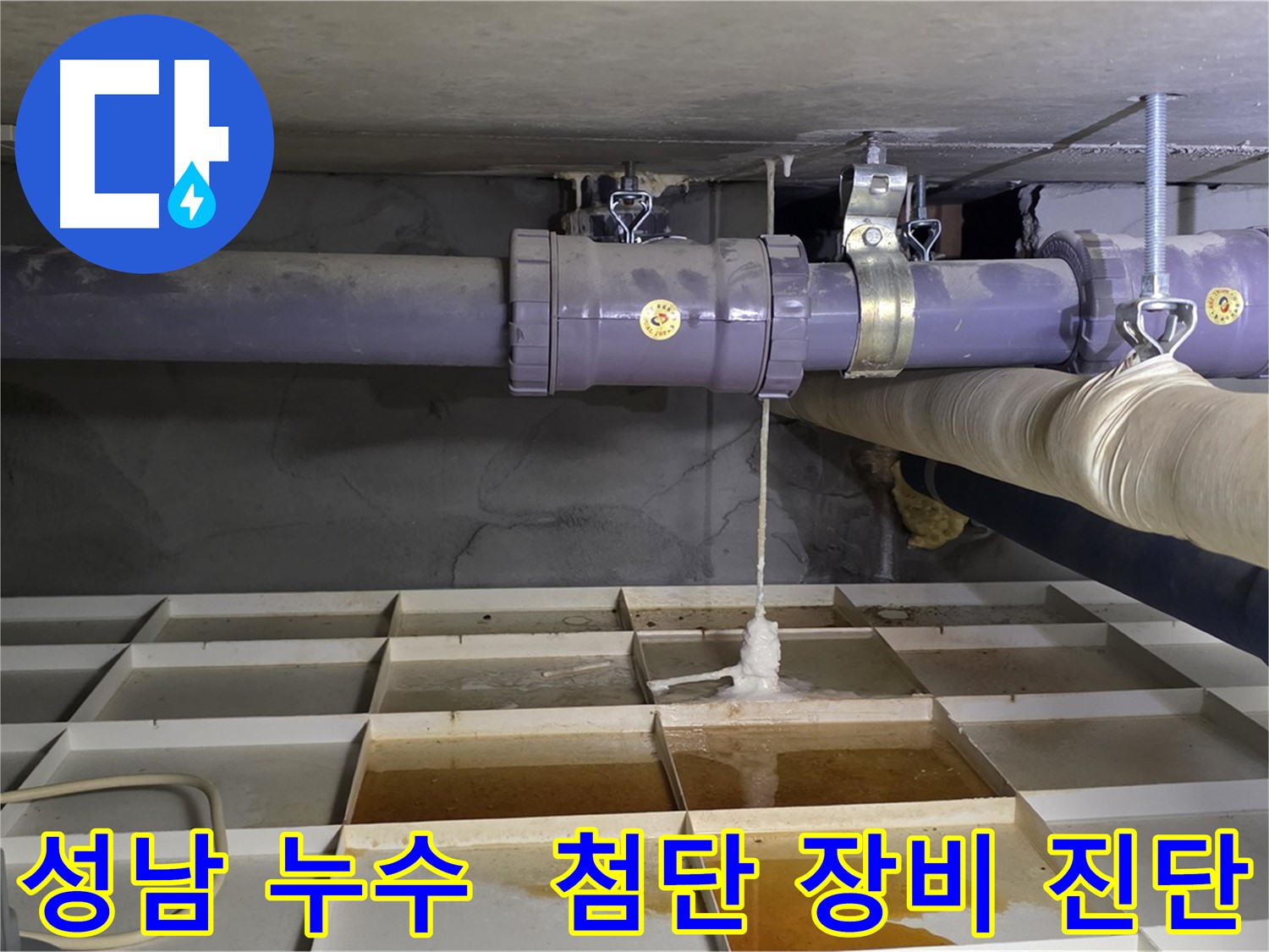 성남 산운마을 6단지 배관 누수 - 연결 부속 문제, 최첨단 장비로 속 시원히 진단