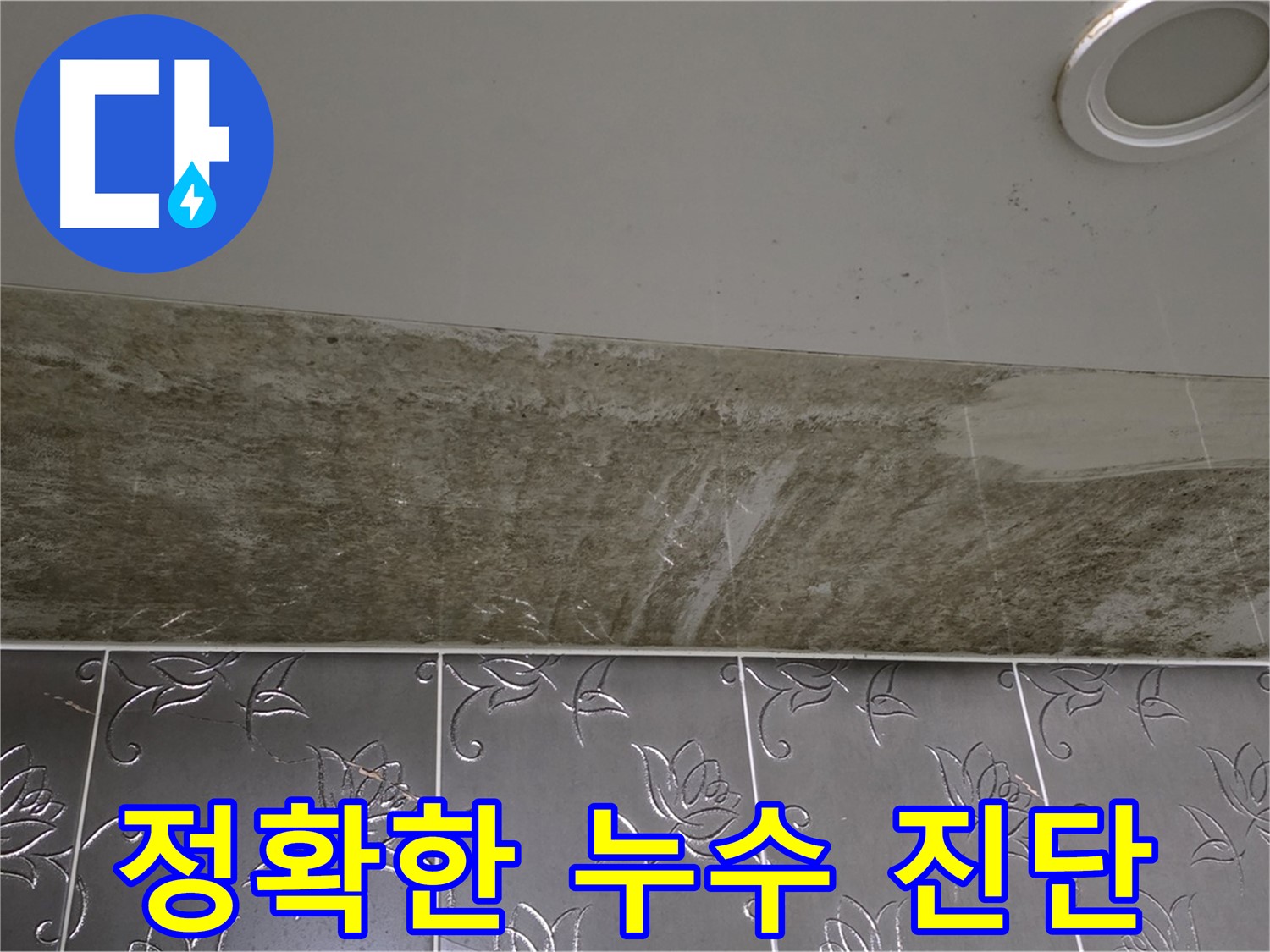 곰팡이 가득한 화장실 천장 - 정확한 누수 진단 진행
