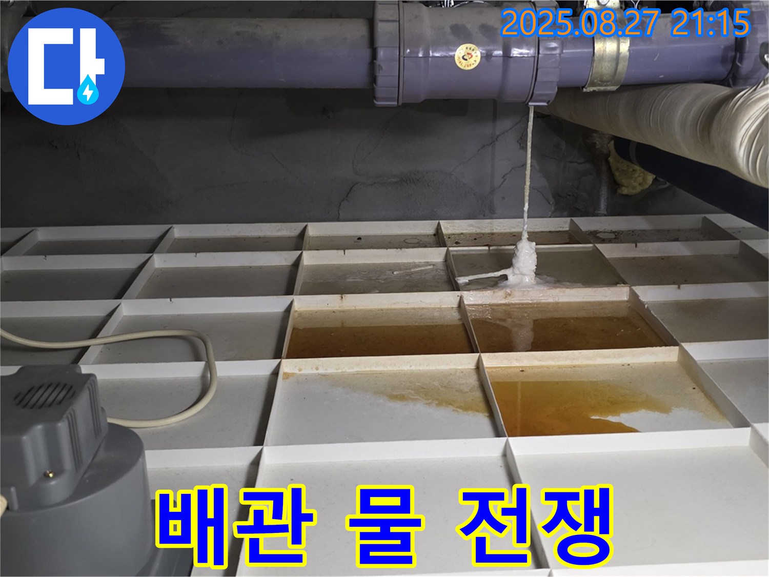 성남시 분당구 운중동 - 배관에서 시작된 물과의 전쟁, 누수 해결 전문가가 함께합니다.