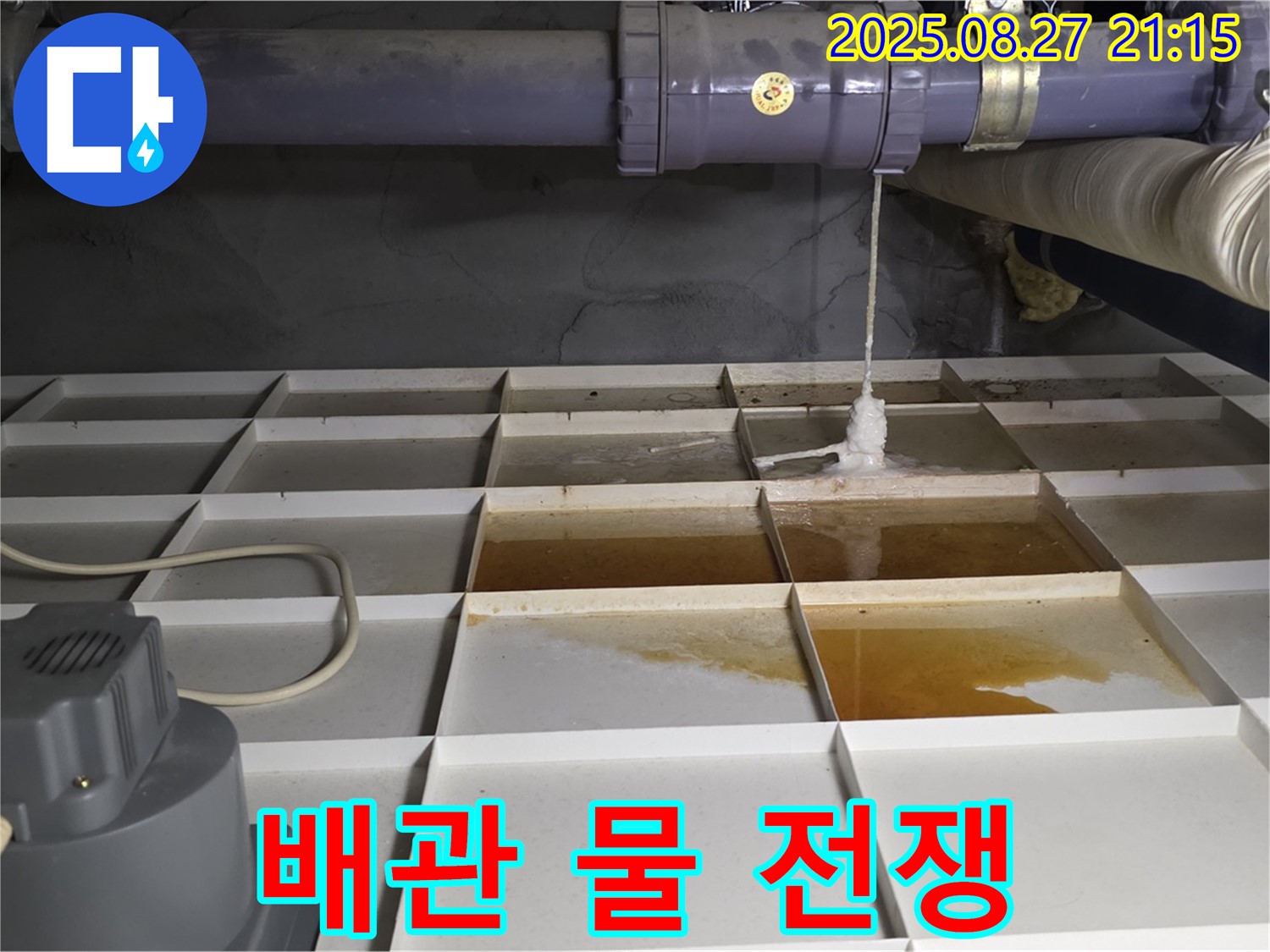 성남시 분당구 운중동 - 배관에서 시작된 물과의 전쟁, 누수 해결 전문가가 함께합니다.
