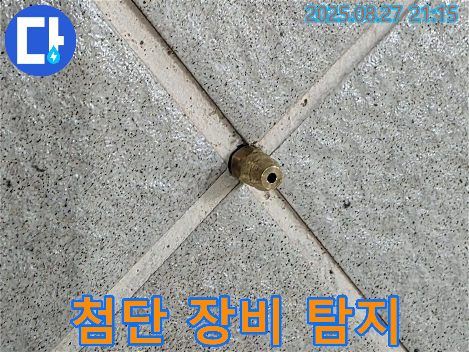 성남시 분당구 운중동 산운마을 누수 - 첨단 장비를 사용하여 누수 지점을 정확하게 탐지합니다.