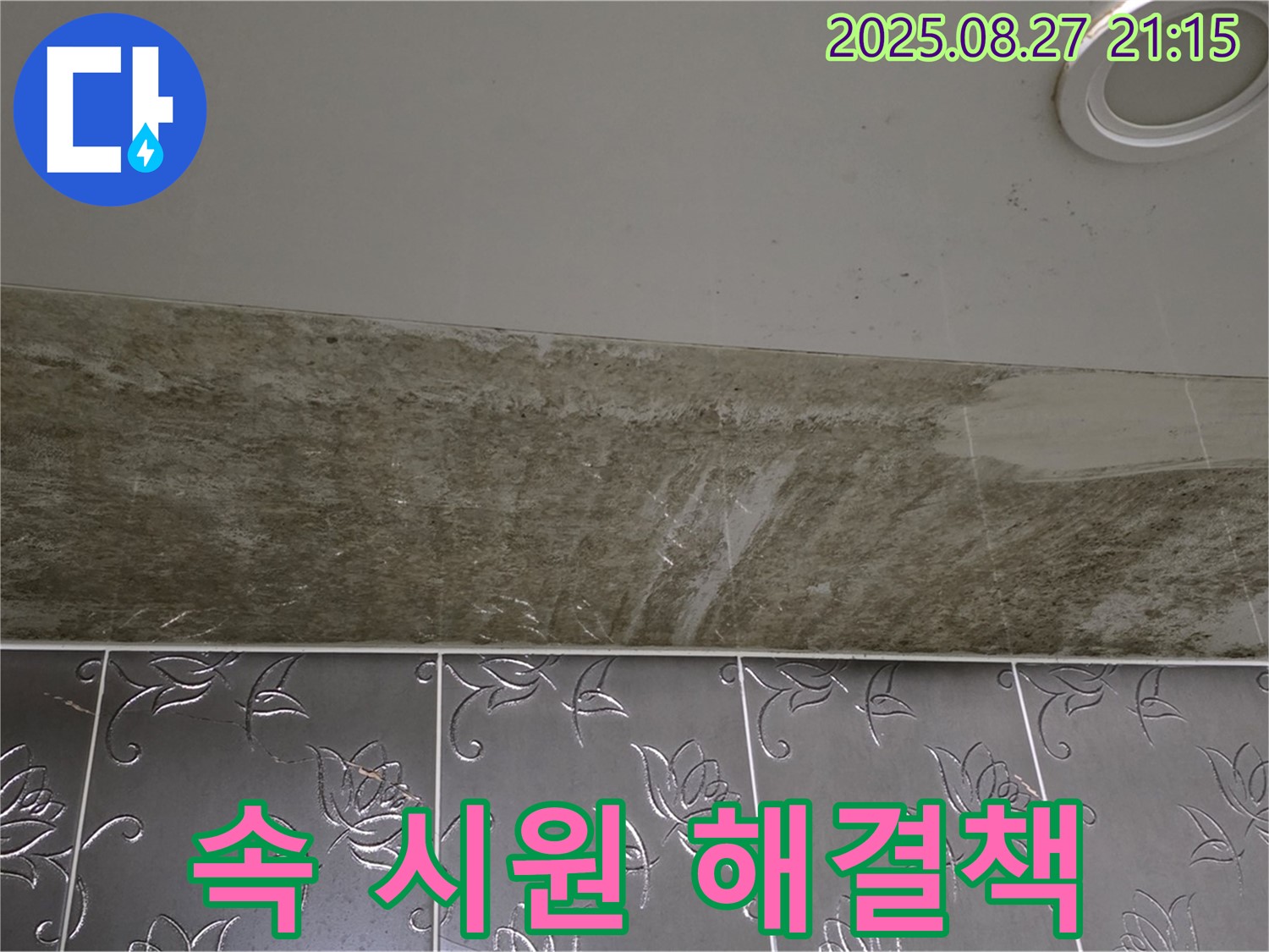 성남시 분당구 운중동 산운마을 아파트 - 곰팡이 핀 천장 누수, 속 시원한 해결책을 위한 상담을 제공합니다.