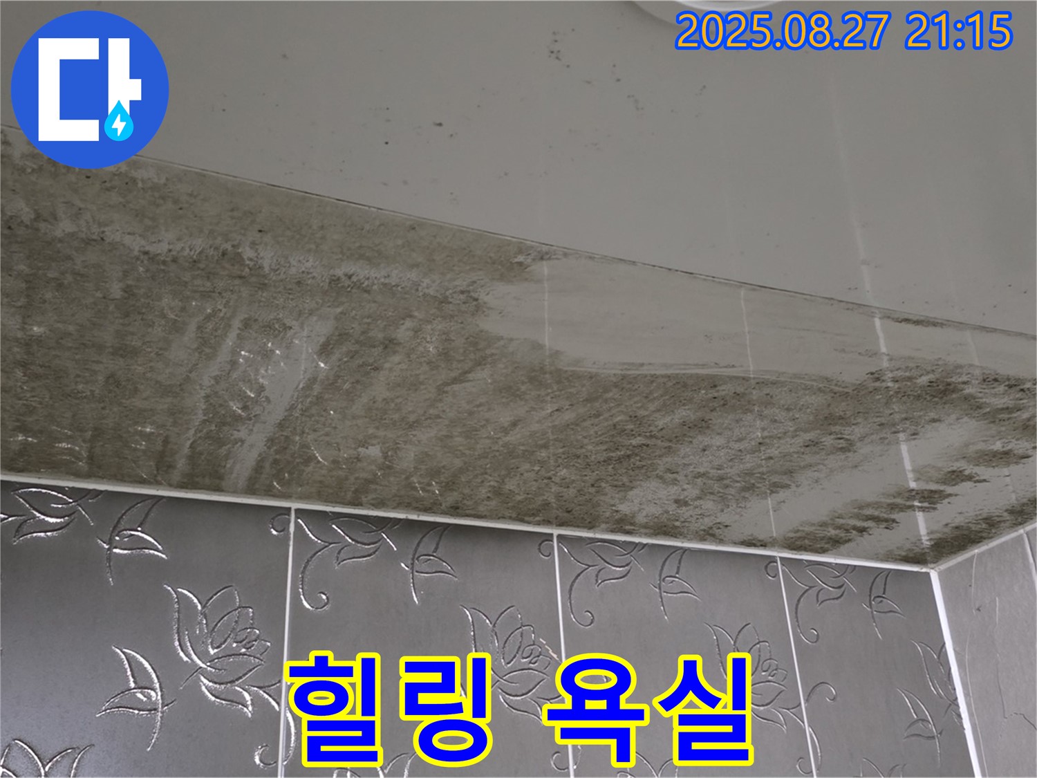 욕실 곰팡이 - 누수탐지 전문 기술로 곰팡이를 완벽하게 차단하고 안심하고 힐링할 수 있는 욕실을 만들어 드리는 이미지입니다.