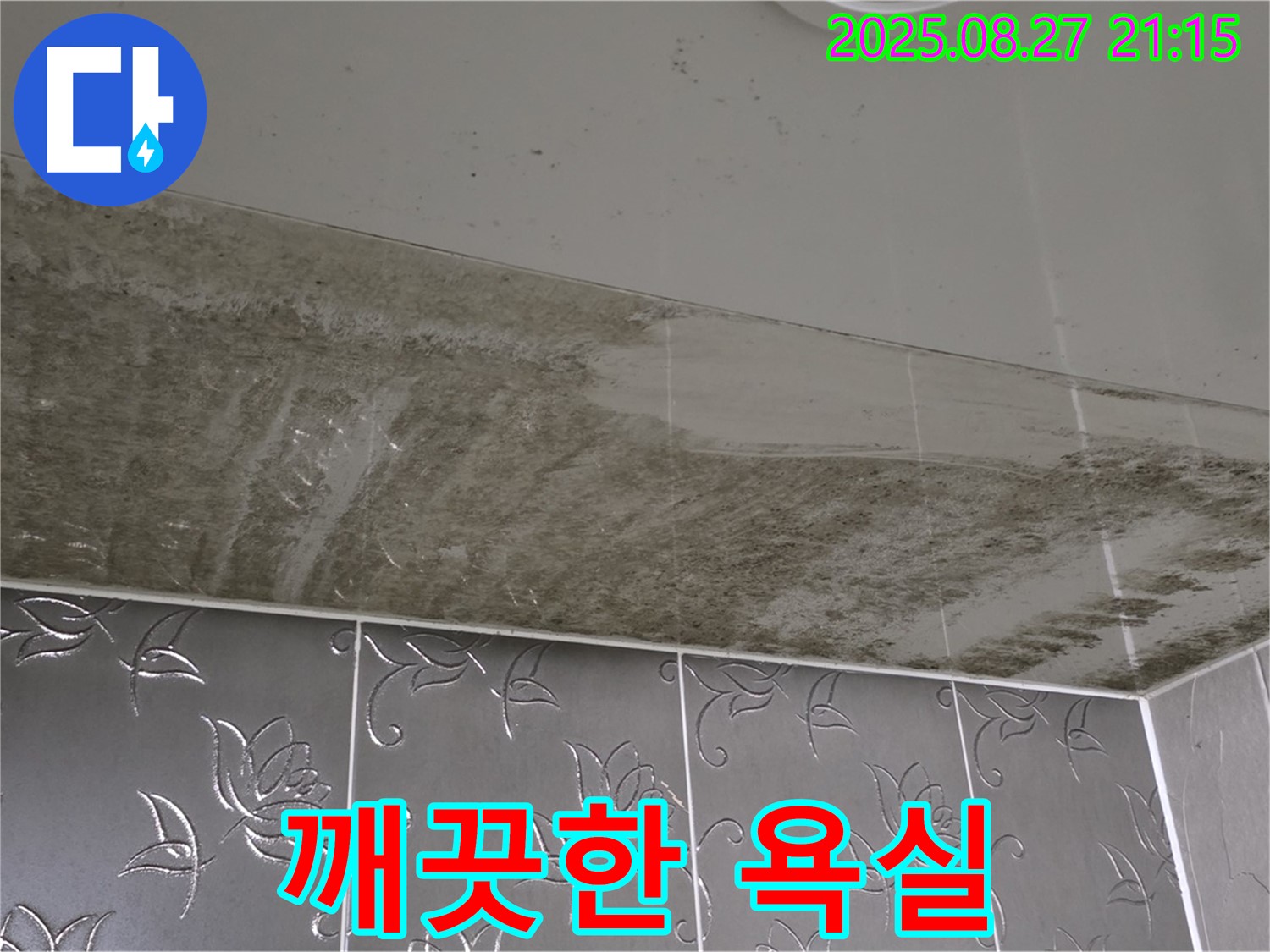 욕실 곰팡이 - 누수탐지 전문 기술로 곰팡이를 완벽하게 해결하고 깨끗한 욕실을 만들어 드리는 이미지입니다.