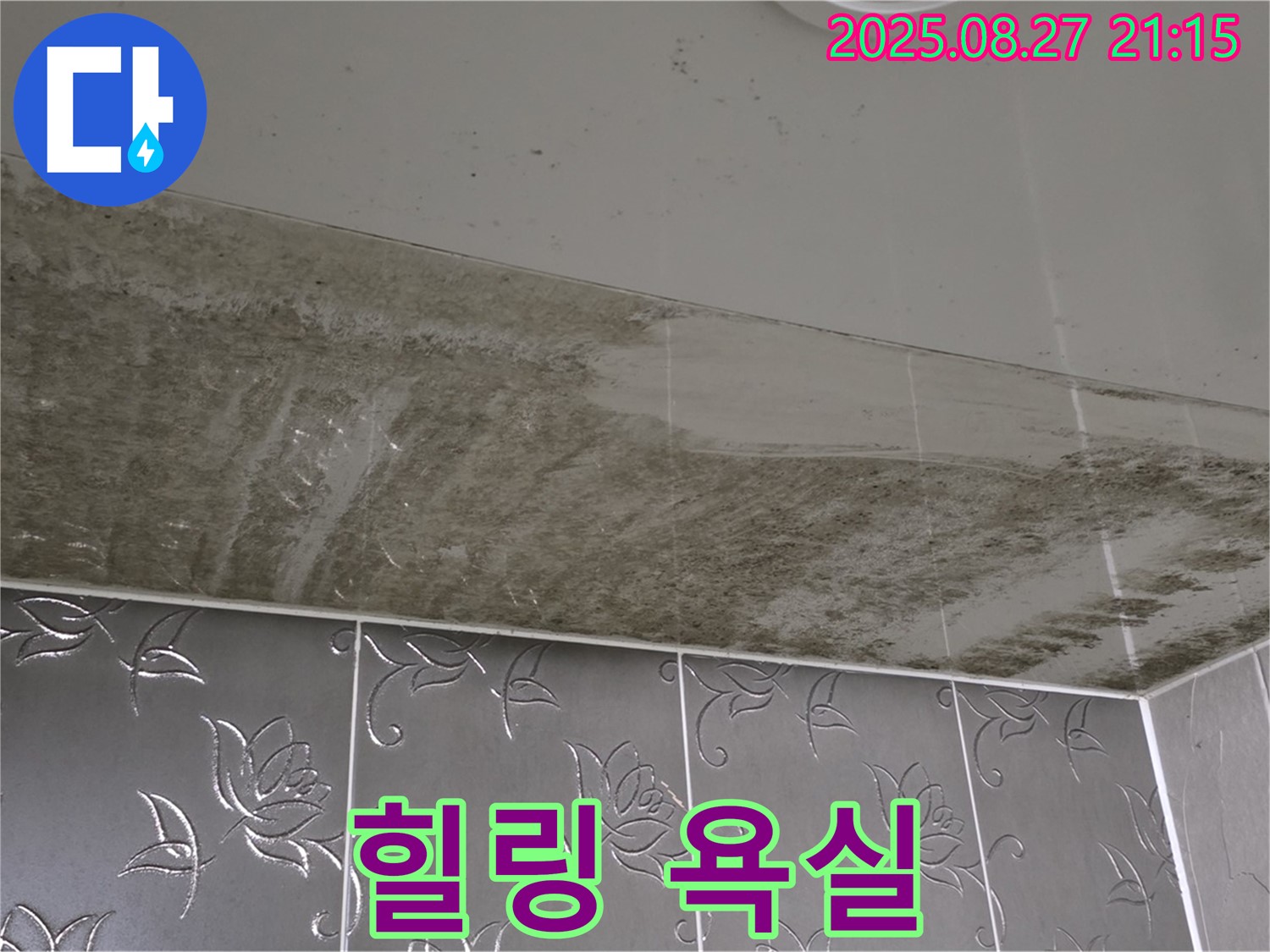 욕실 곰팡이 - 누수탐지 전문 기술로 곰팡이를 완전 정복하고 곰팡이 없는 럭셔리 힐링 욕실을 만드는 모습을 보여주는 이미지입니다.