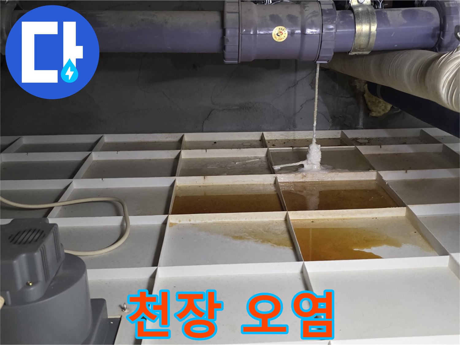 운중동 산운마을 6단지 배관 누수로 인한 천장 오염 현장 - 얼룩이 심각합니다.