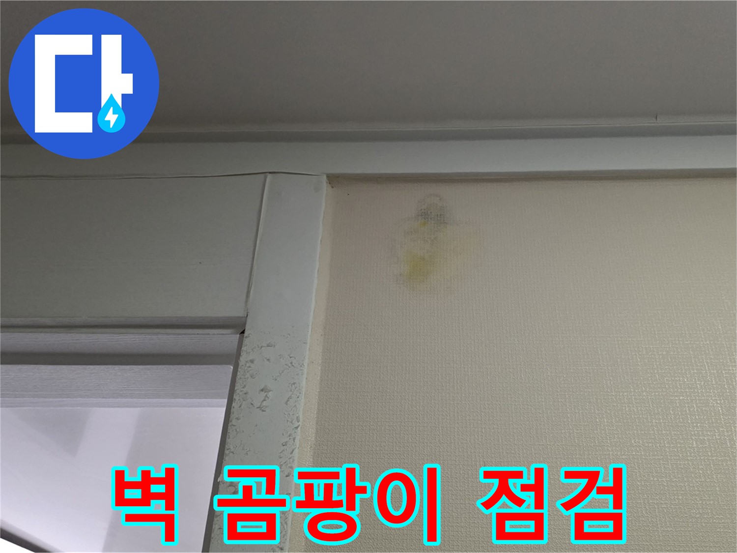 운중동 산운마을 6단지 아파트 - 벽 주변 곰팡이 초기 누수 진단