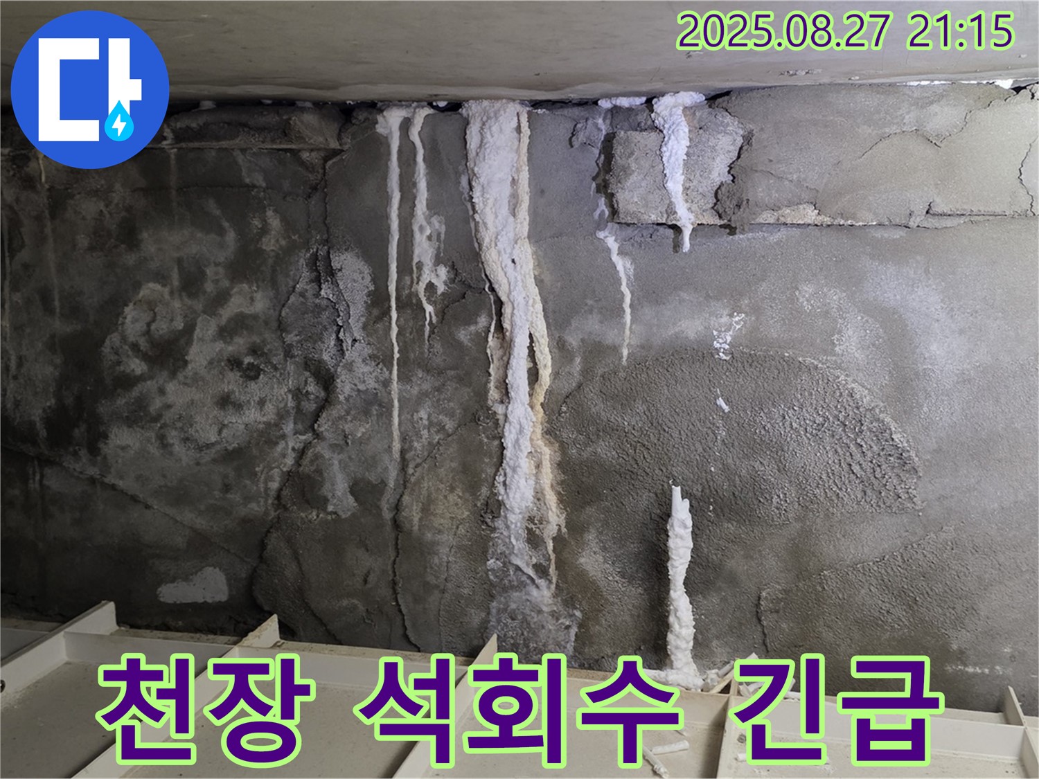 운중동 산운마을 6단지 주차장 천장 - 긴급 상황에 신속하게 방문하여 석회수 누수 문제를 해결하는 모습입니다.