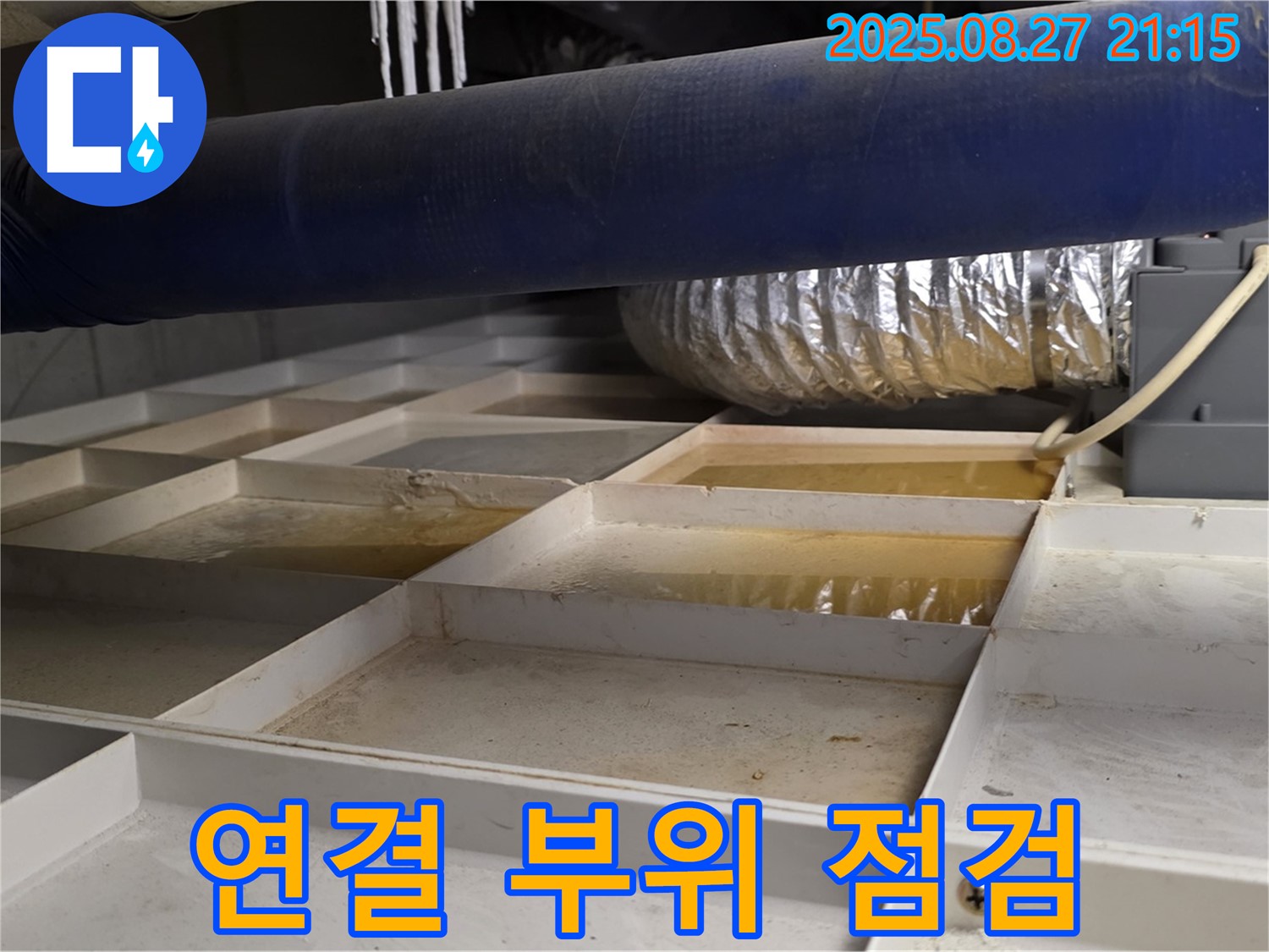 운중동 산운마을 누수 현장 - 격자 바닥 배관 연결 부위를 집중적으로 점검하고 있습니다.