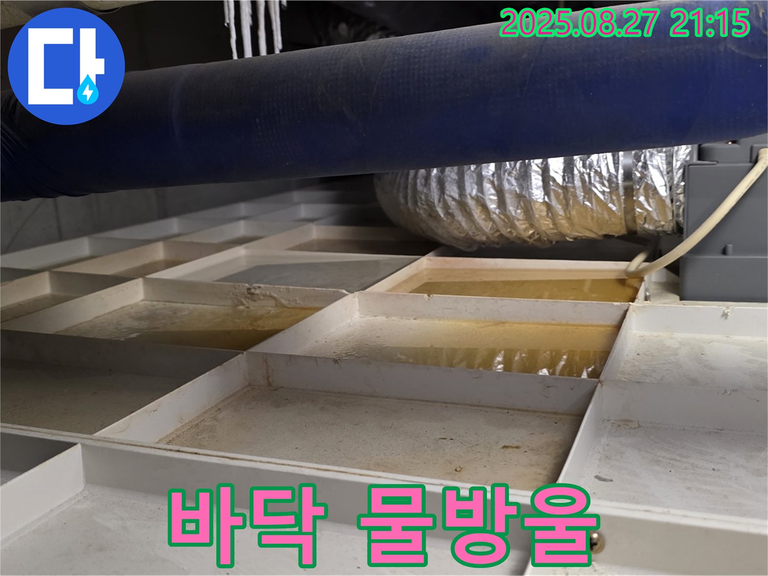 운중동 산운마을 누수 현장 - 격자 바닥에 맺힌 물방울 - 배관 연결 부위 누수를 의심하고 꼼꼼하게 점검하고 있습니다.