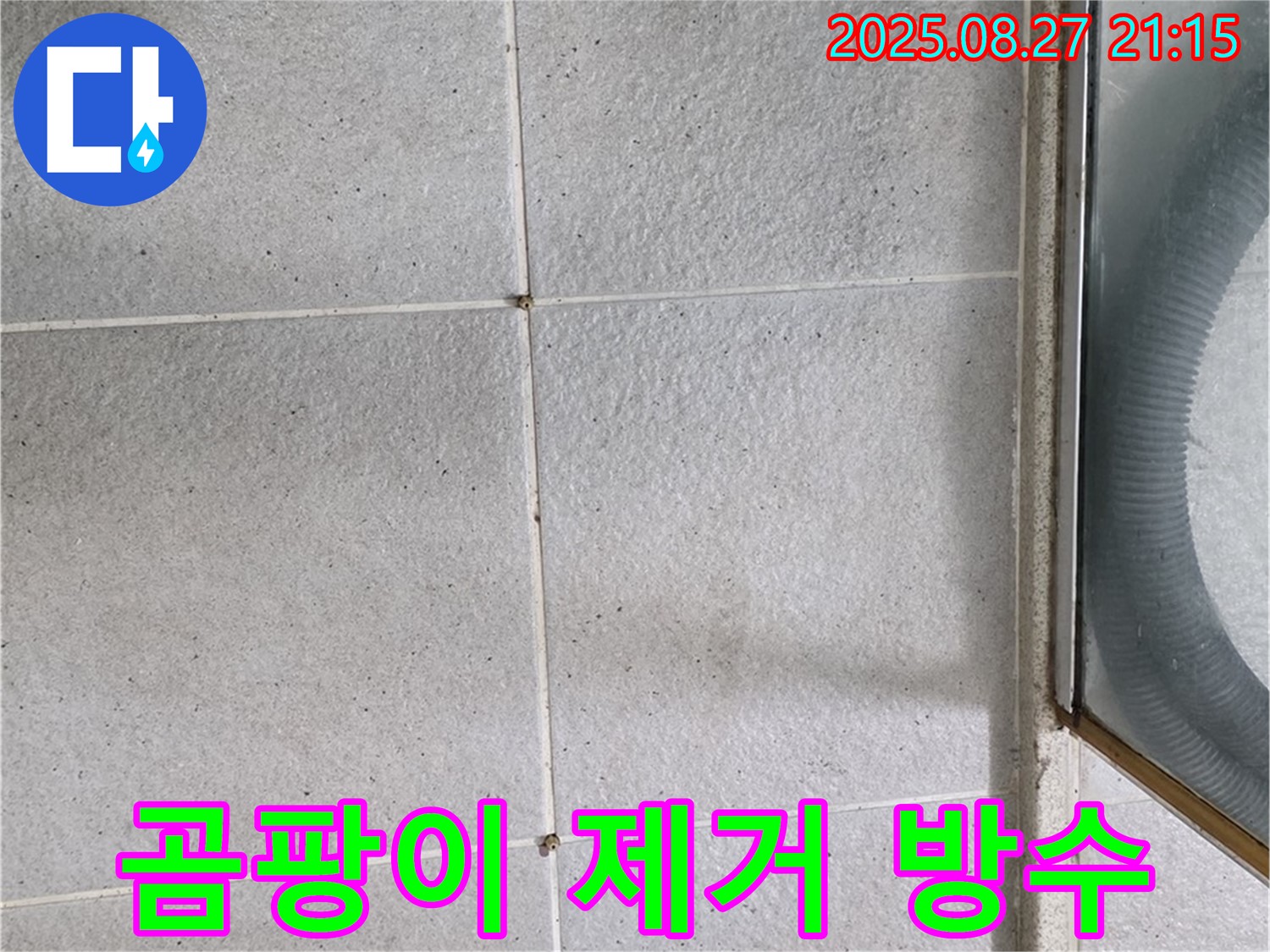 운중동 아파트 샤워부스 주변 곰팡이 제거 - 방수 관리로 쾌적한 환경 유지