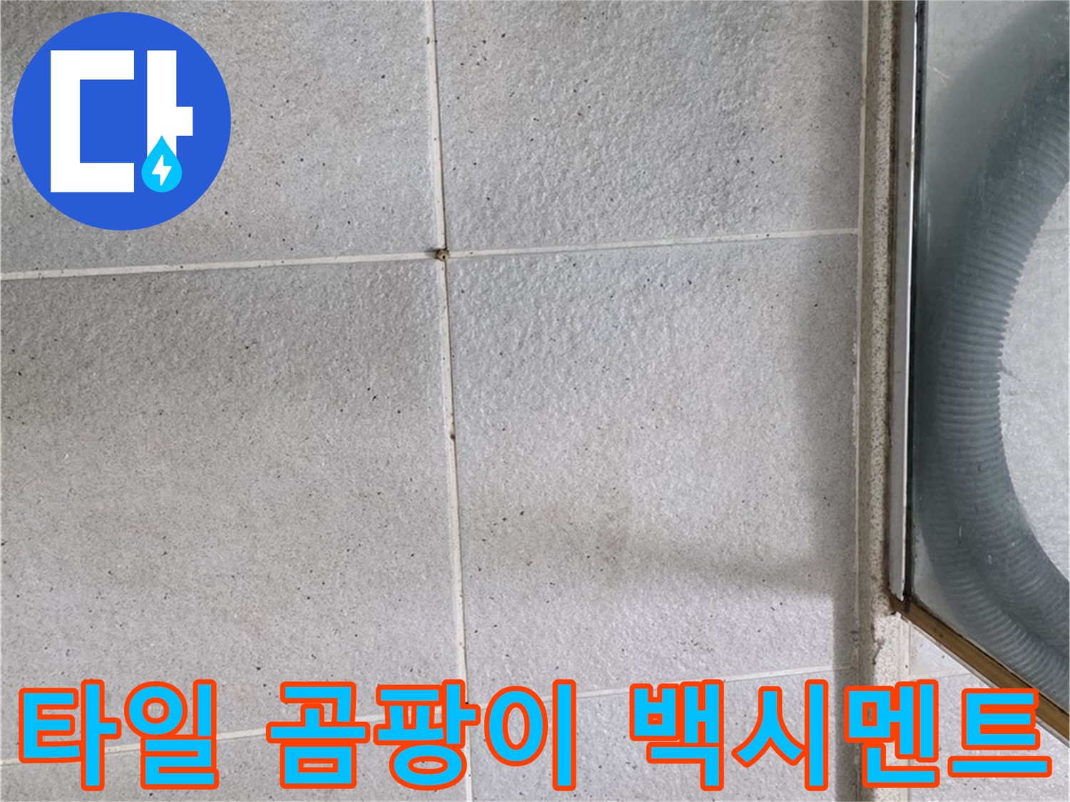 운중동 욕실 벽 타일 틈새 - 곰팡이와 백시멘트 탈락은 누수의 확실한 징후입니다.