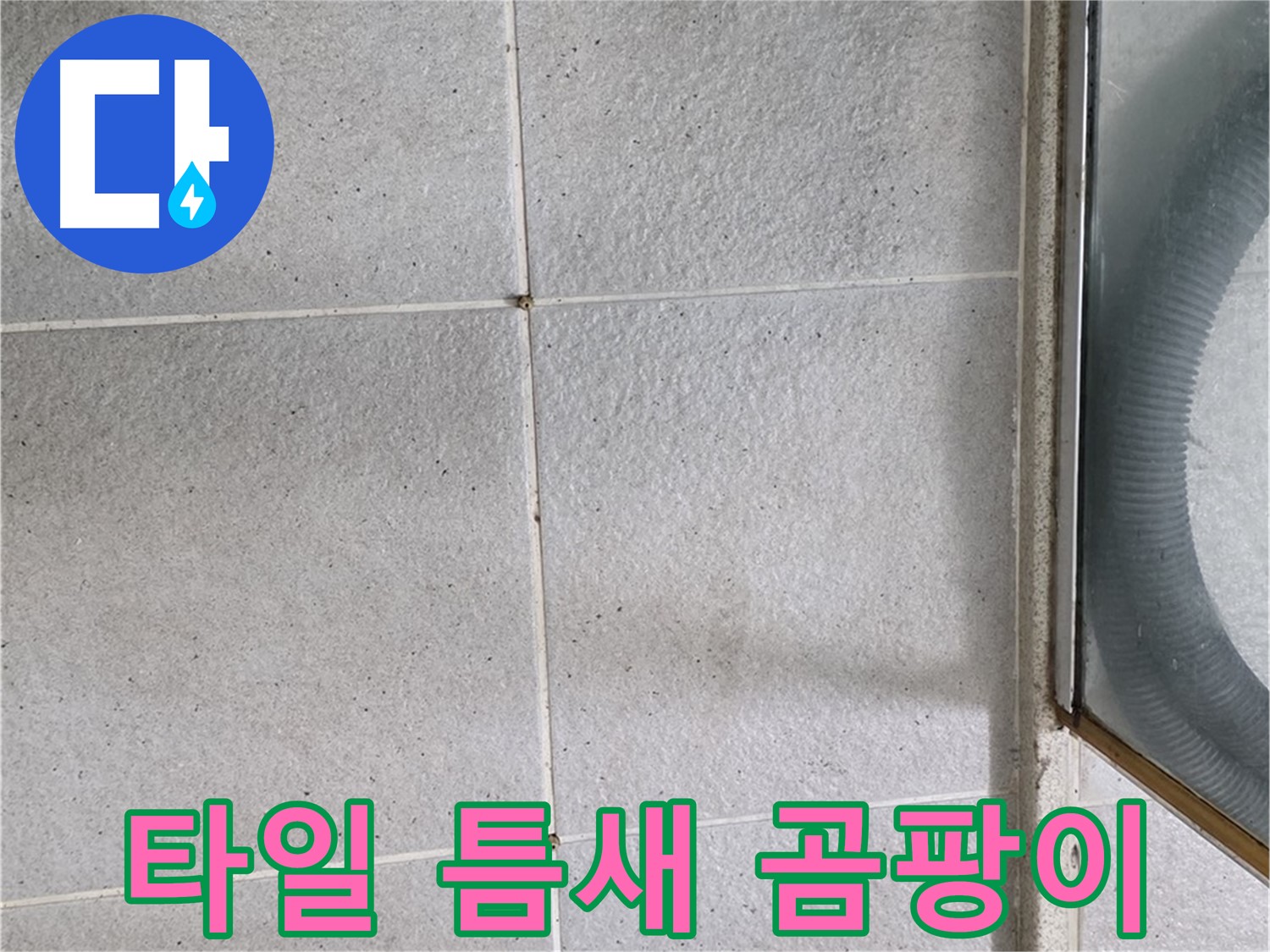 운중동 욕실 벽 타일 틈새 - 습기와 곰팡이가 초기 단계로 발생한 모습입니다.