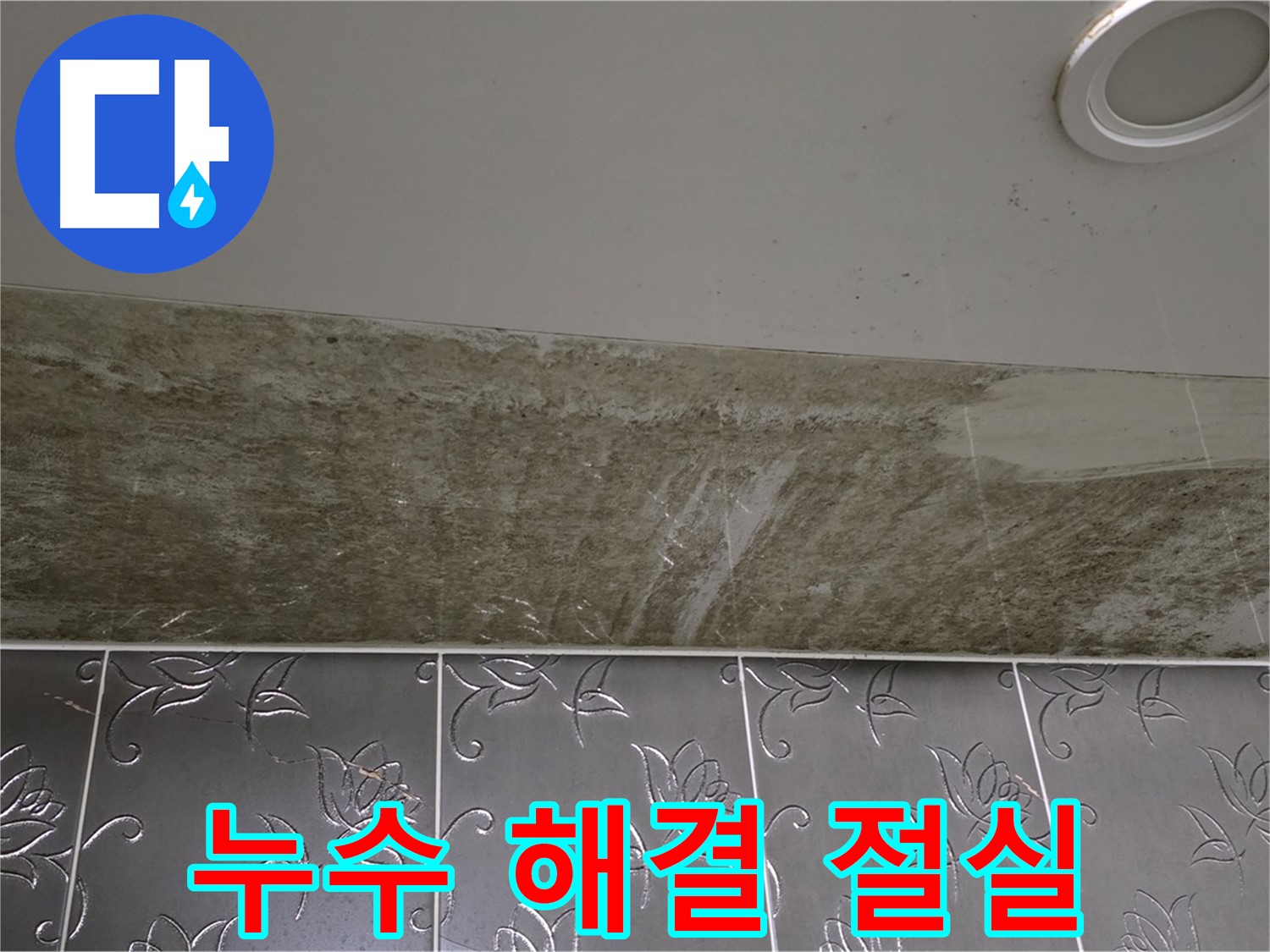 곰팡이로 뒤덮인 화장실 천장 - 누수 해결이 절실한 상황