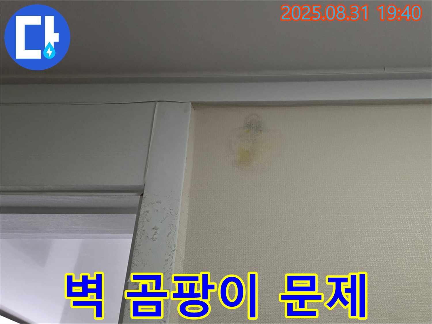 벽 곰팡이 문제 - 성남 분당 백현동 누수 - 전문가 해결