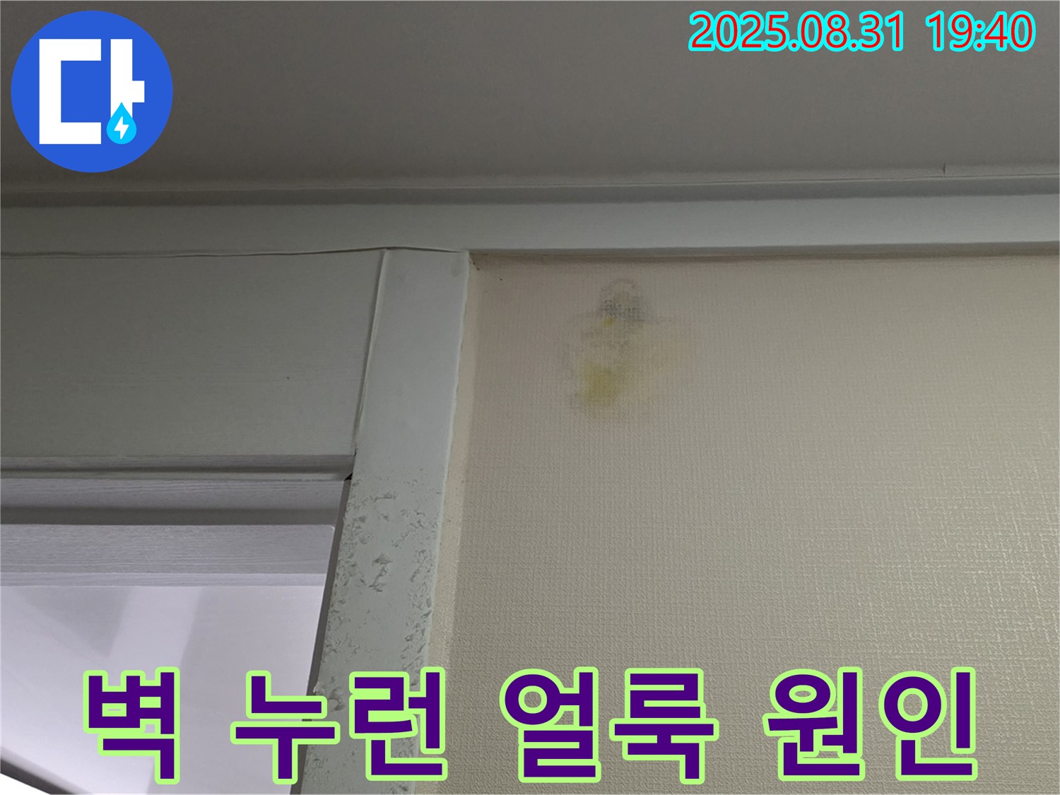 벽 누런 얼룩 원인 - 성남 분당 금곡동 누수탐지