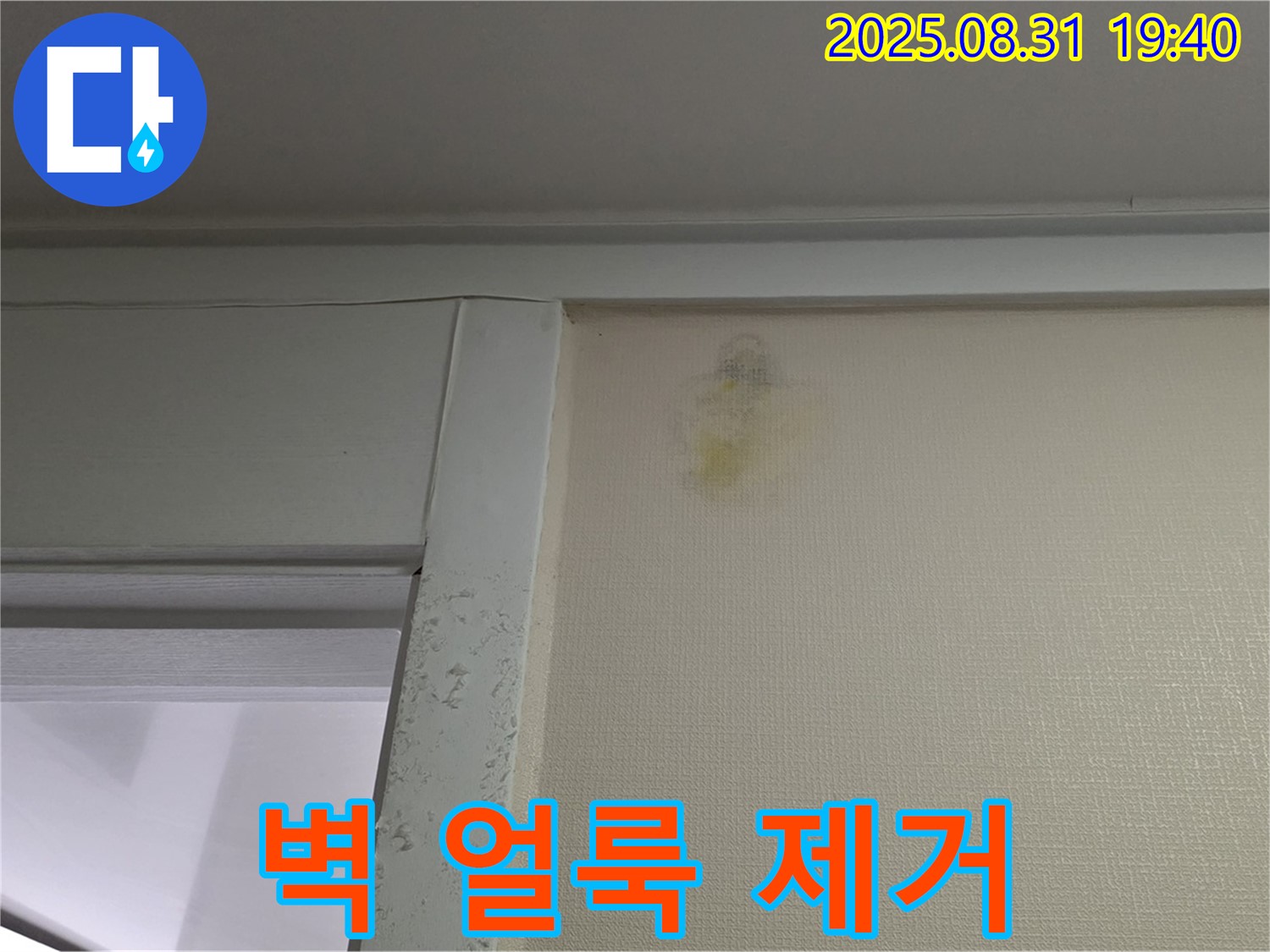벽 얼룩 제거 - 성남시 분당구 산운로 누수 - 새집처럼