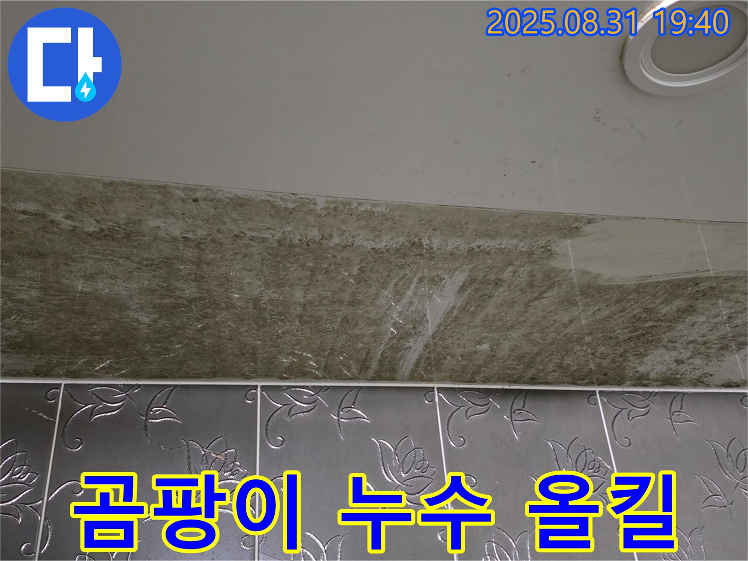 분당 백현동 욕실 천장 누수 - 곰팡이 문제까지 완벽하게 해결!