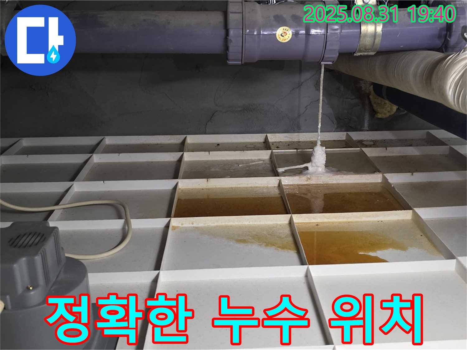 분당 산운로 누수 - 누수 위치를 정확하게 찾아낸 모습