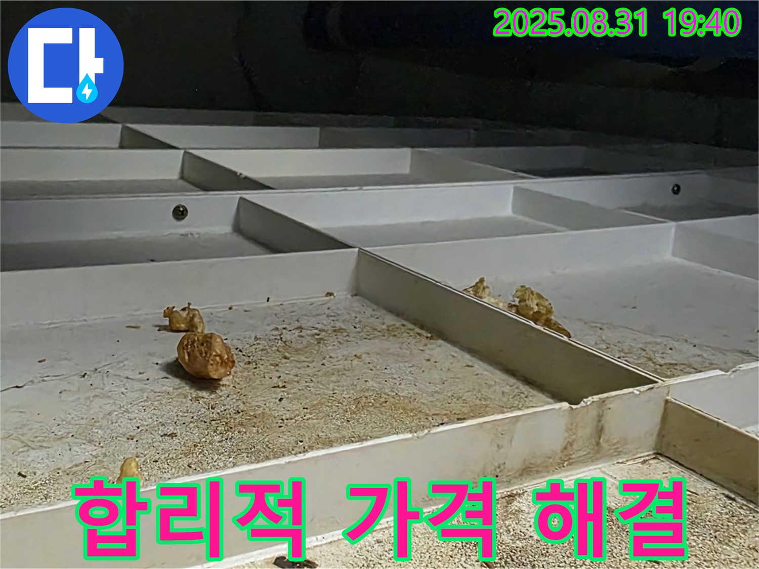 분당 산운로 누수 - 합리적인 가격으로 누수 문제 완벽 해결