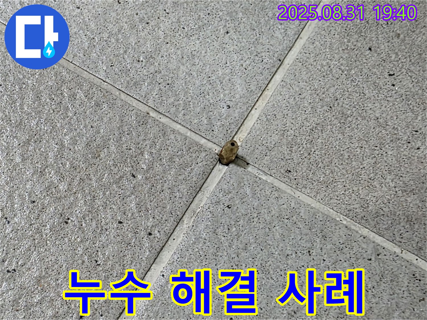 분당 산운마을 누수 현장 - 타일 틈새 누수를 완벽하게 해결한 사례입니다.