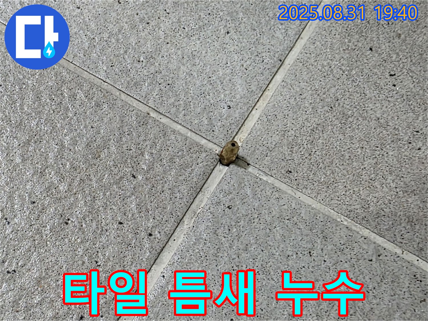 분당 산운마을 누수 현장 - 타일 틈새에서 발생하는 물 떨어짐 현상을 정확하게 진단합니다.