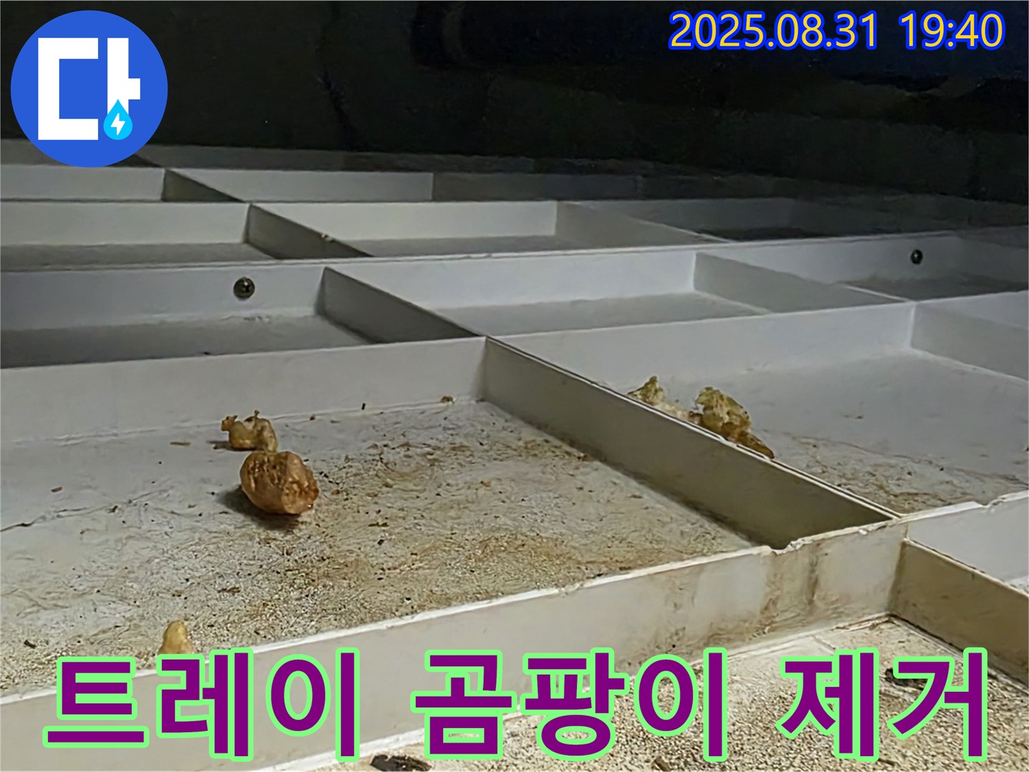 분당 삼평동 누수 - 천장 배수 트레이 곰팡이 흔적 깨끗하게 제거