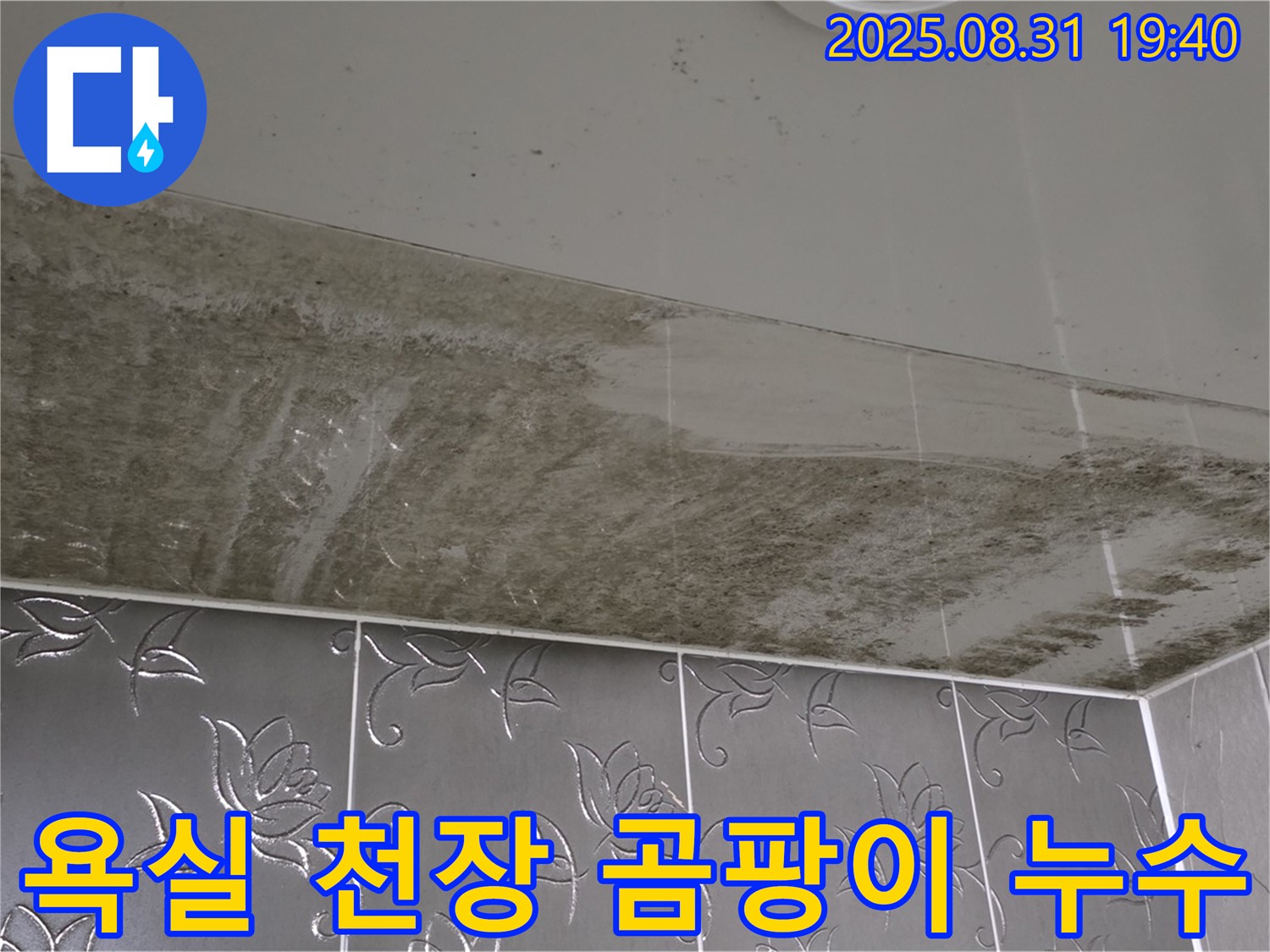 분당 석운동 욕실 천장 곰팡이 - 누수 원인과 해결 과정을 보여주는 사진입니다.