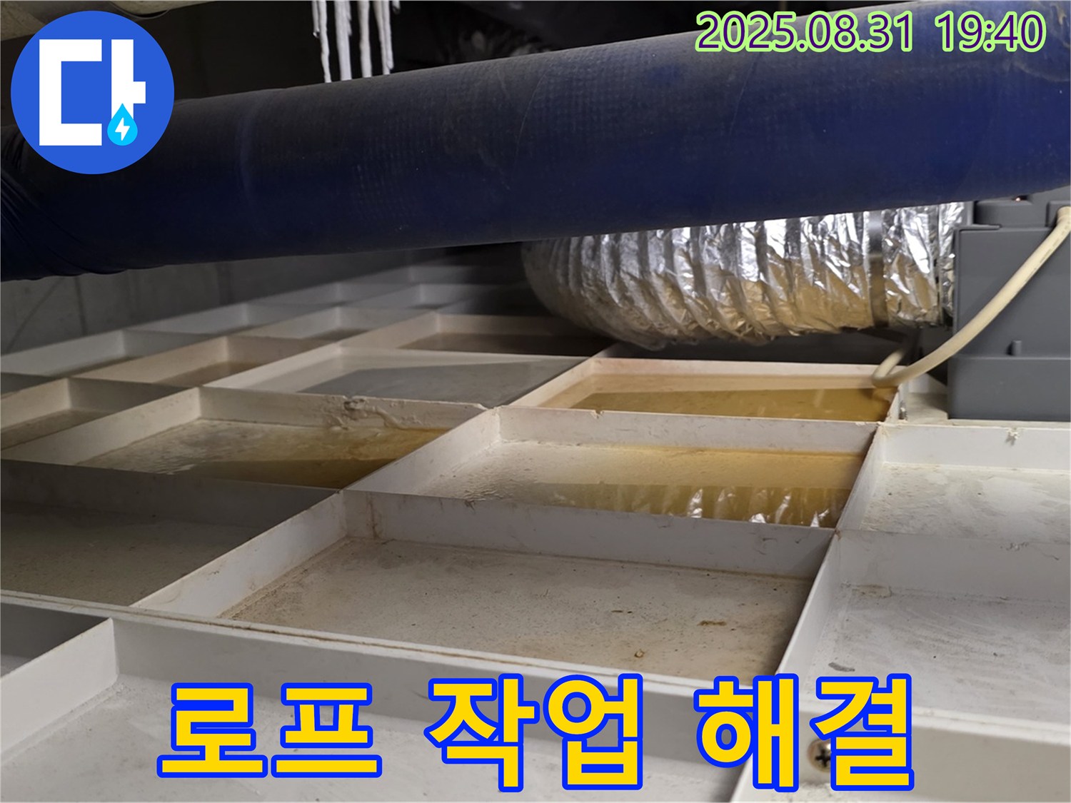 분당 수내동 건물 외벽 누수 - 로프 작업으로 꼼꼼하게 누수 해결