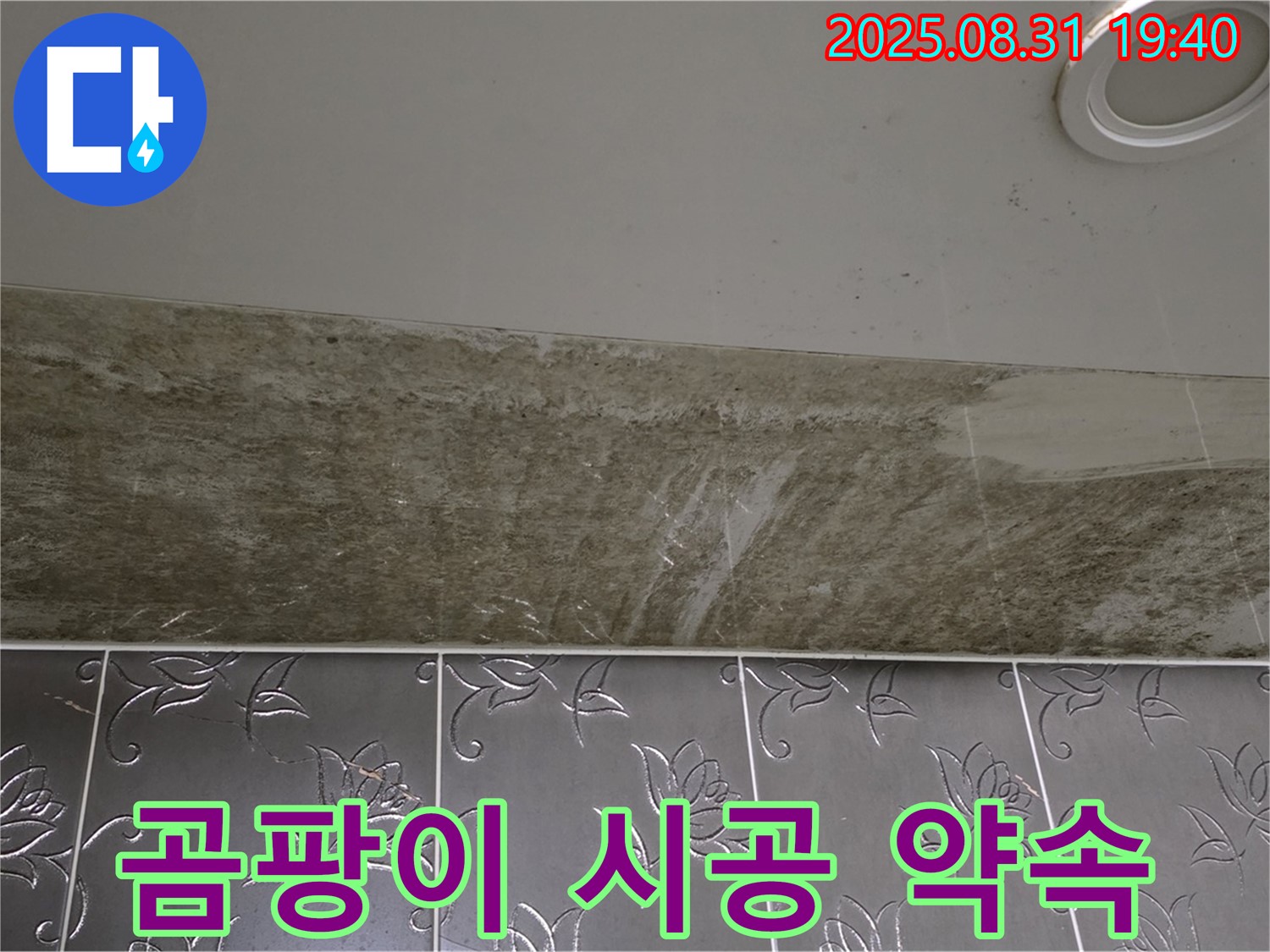 분당 야탑동 곰팡이 심한 욕실 천장 누수 - 원인 해결부터 확실한 시공까지 약속드립니다!
