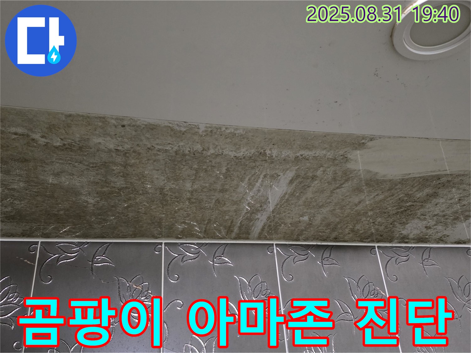 분당 운중동 욕실 천장 누수 - 곰팡이가 아마존처럼 핀 누수, 긴급 진단!
