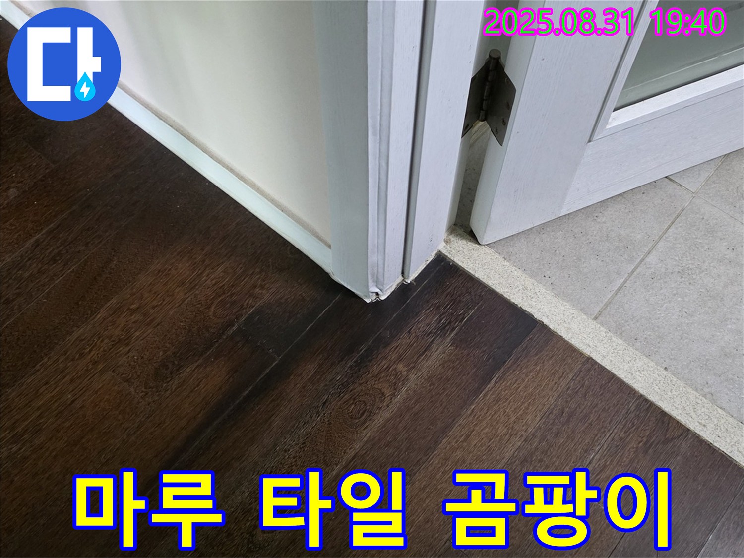 분당 정자동 누수 - 마루와 타일 연결 부위 곰팡이는 건강까지 위협하는 누수일 수 있습니다 - 빠른 조치가 필요합니다.