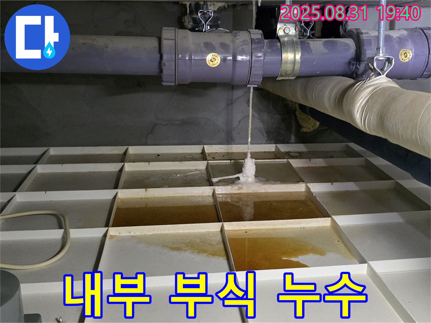 분당구 산운동 누수 - 물탱크 내부 부식으로 인한 누수 - 청소 및 부식 방지 조치가 필요합니다.
