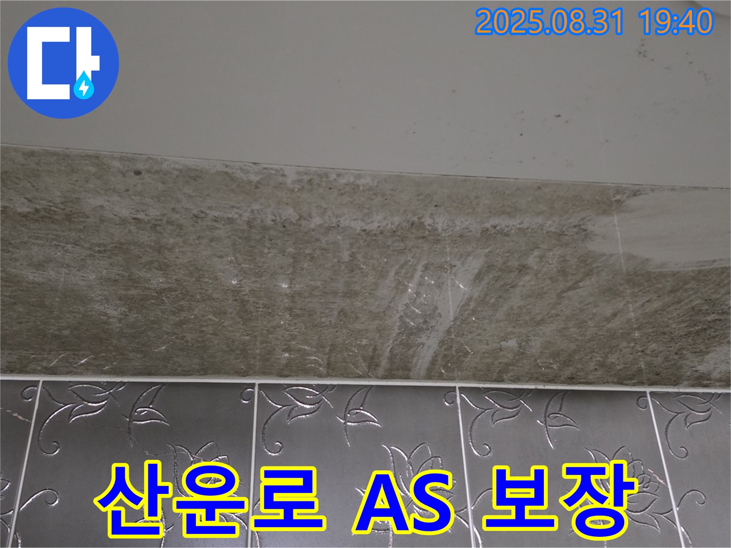 분당구 산운로 121 욕실 곰팡이 - 곰팡이 제거 완벽한 A/S 보장