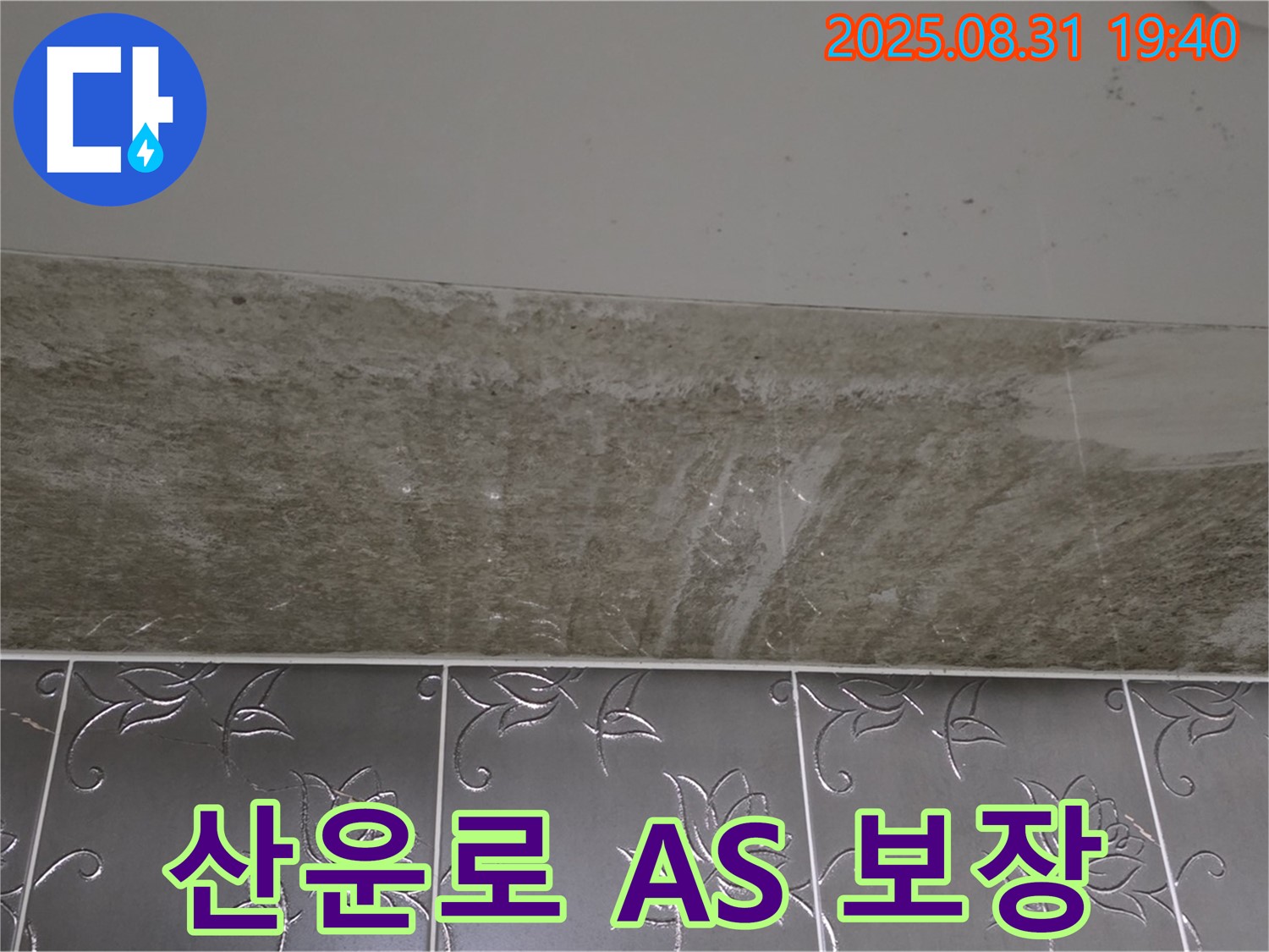 분당구 산운로 121 욕실 곰팡이 - 곰팡이 제거 완벽한 A/S 보장