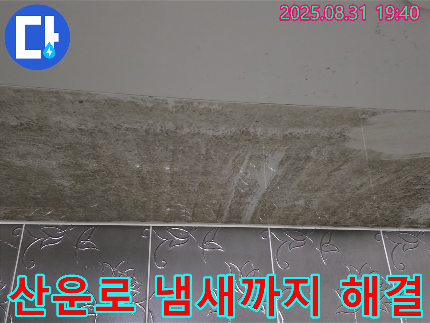 분당구 산운로 욕실 곰팡이 - 곰팡이 제거 곰팡이 냄새까지 한 번에 해결