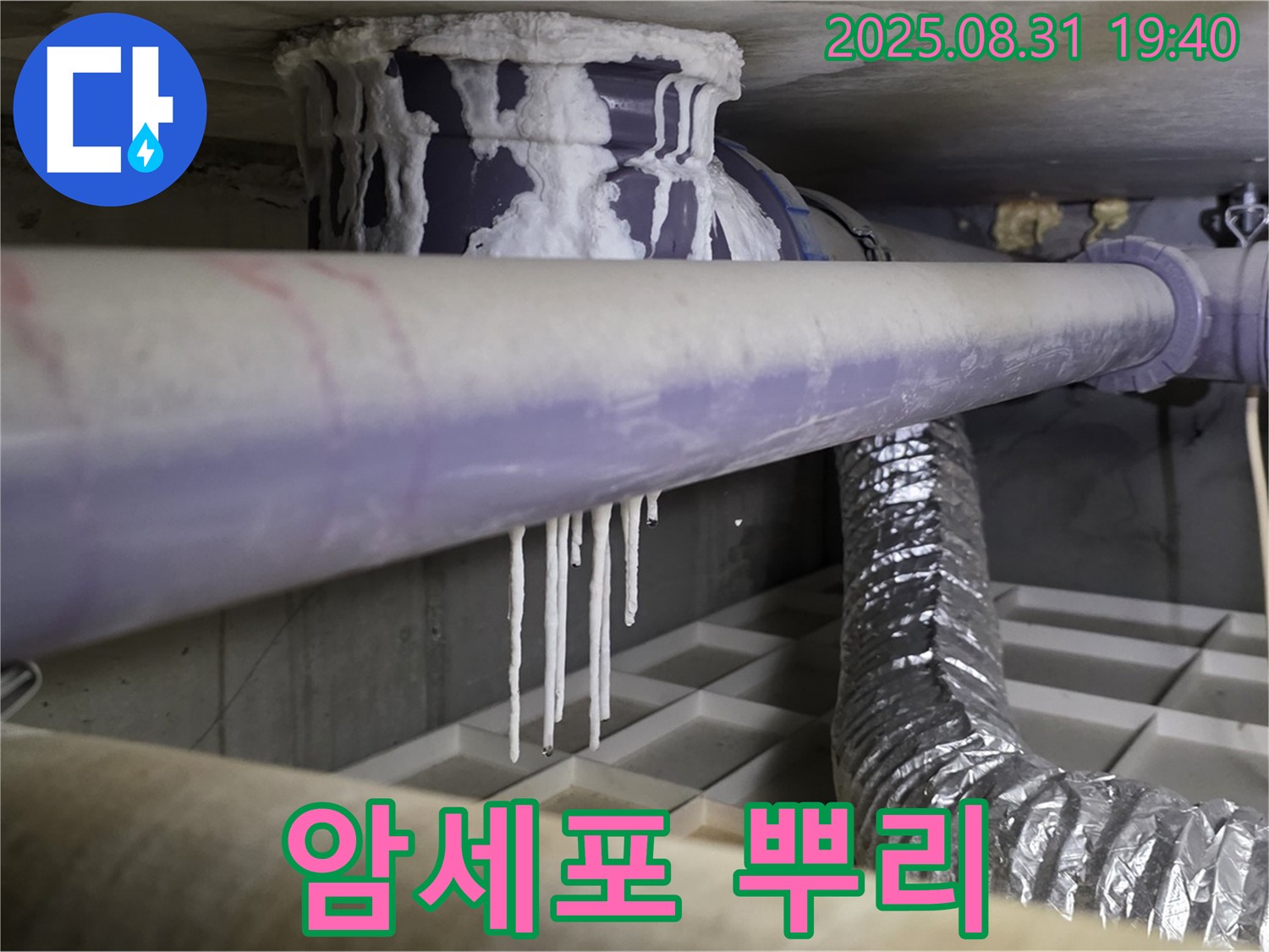 분당구 산운리 결로 누수 - 건물 암세포 석회수 누수 뿌리 뽑는 기술 - 꼼꼼한 시공